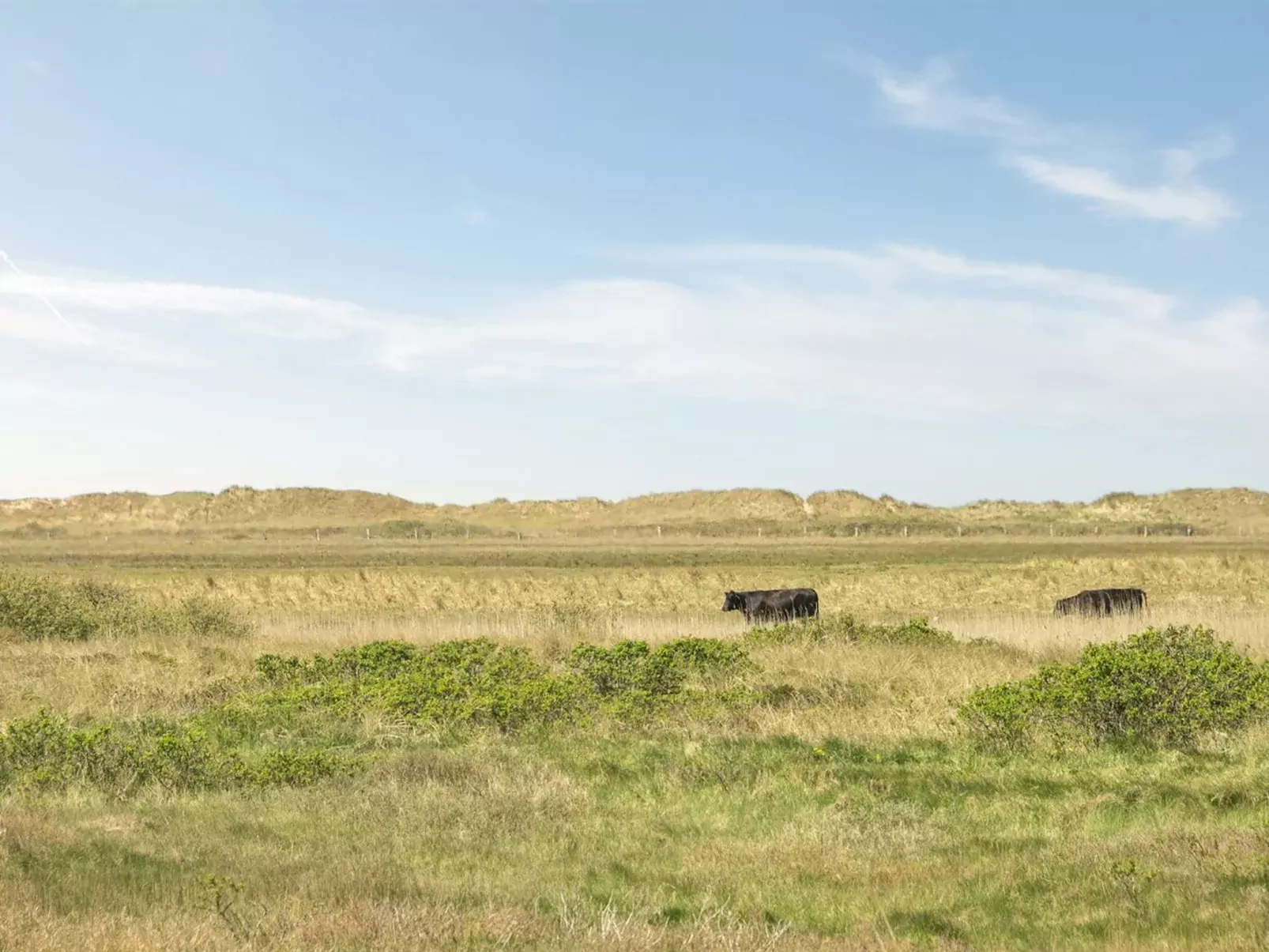 "Hermoth" - 300m from the sea-Binnen
