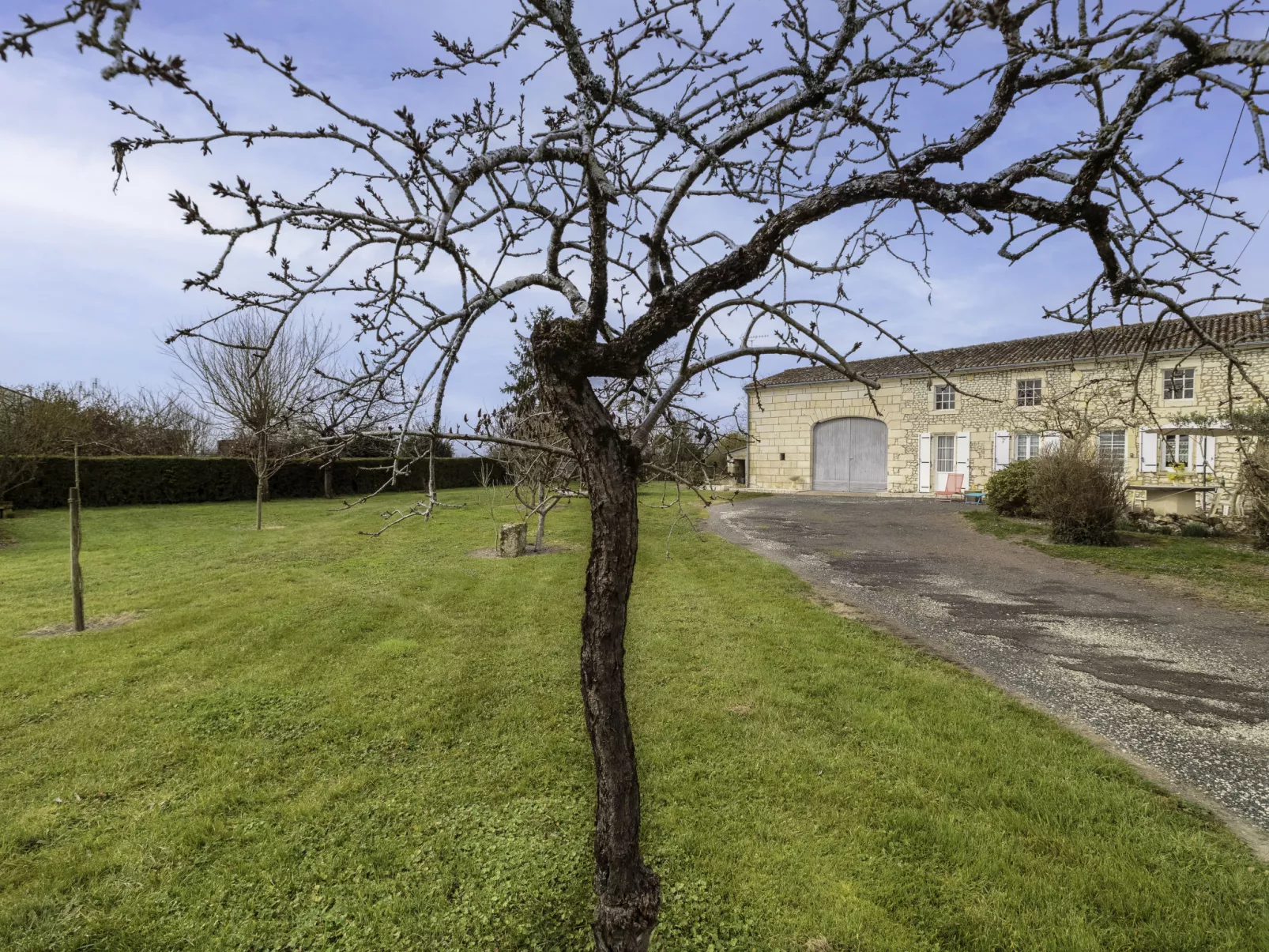 Gîte La Truffière Saintongeaise-Buiten