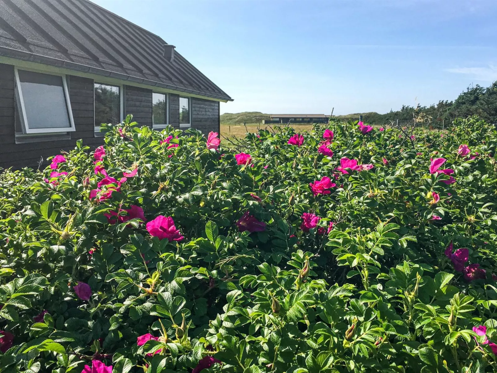"Carelle" - 300m from the sea-Binnen