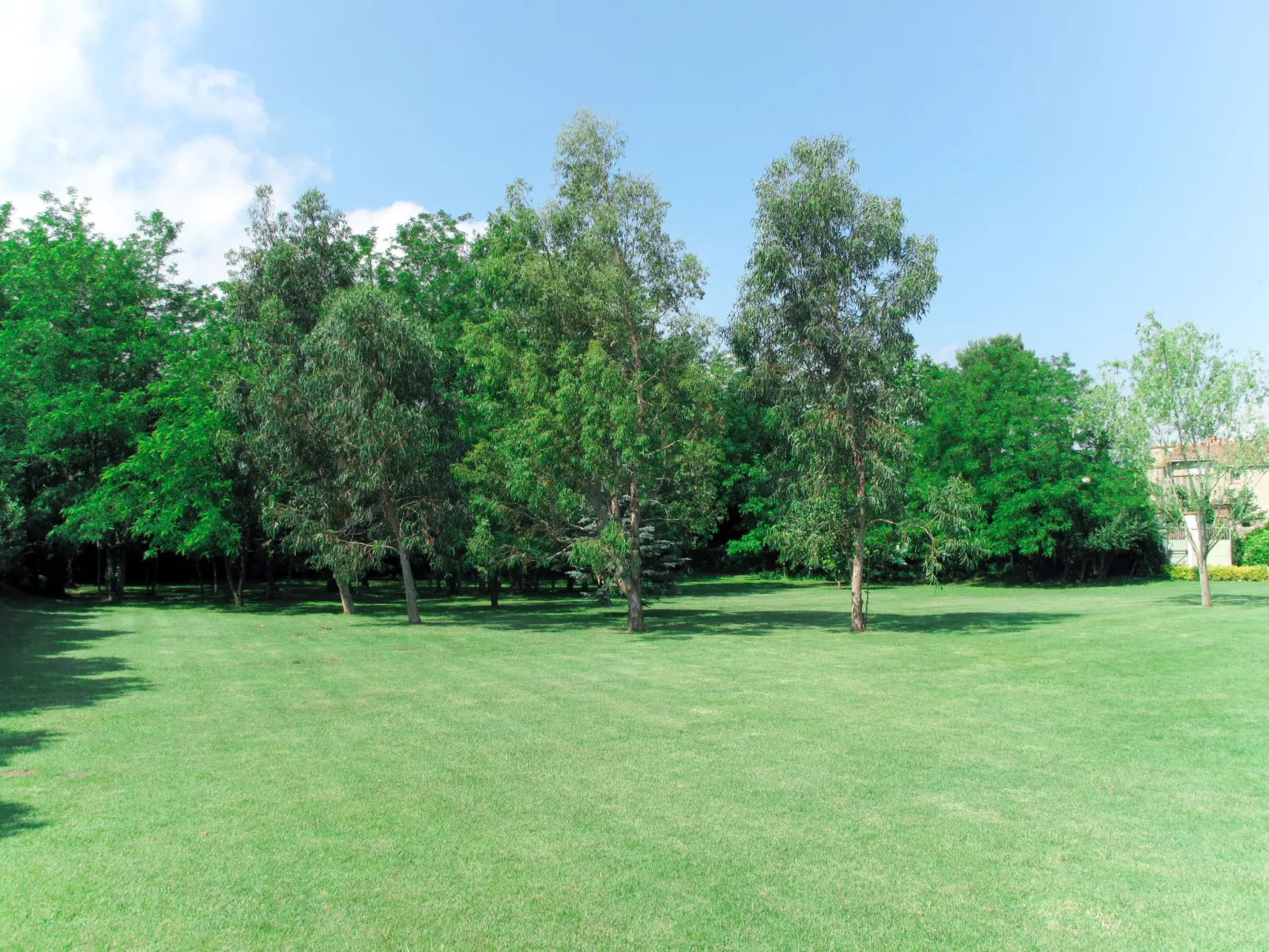 Villa Jaume-Buiten