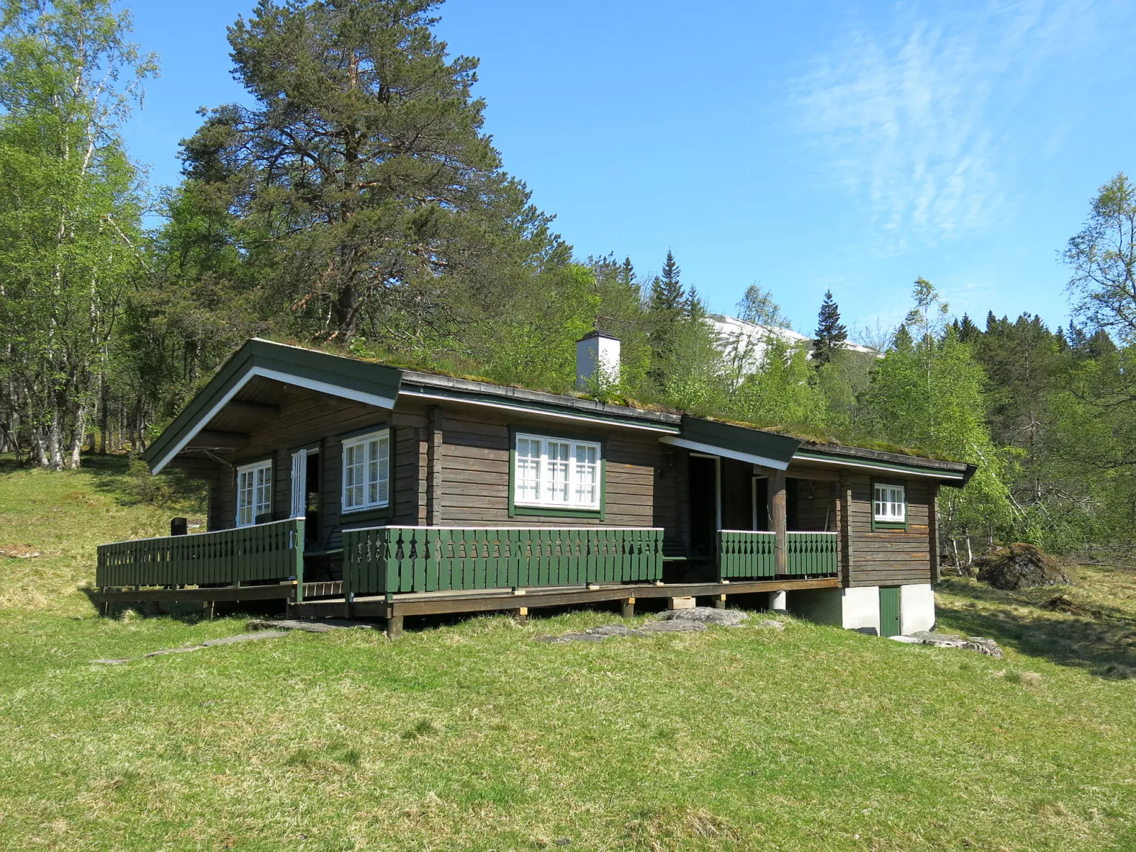 Fjellro-Buiten