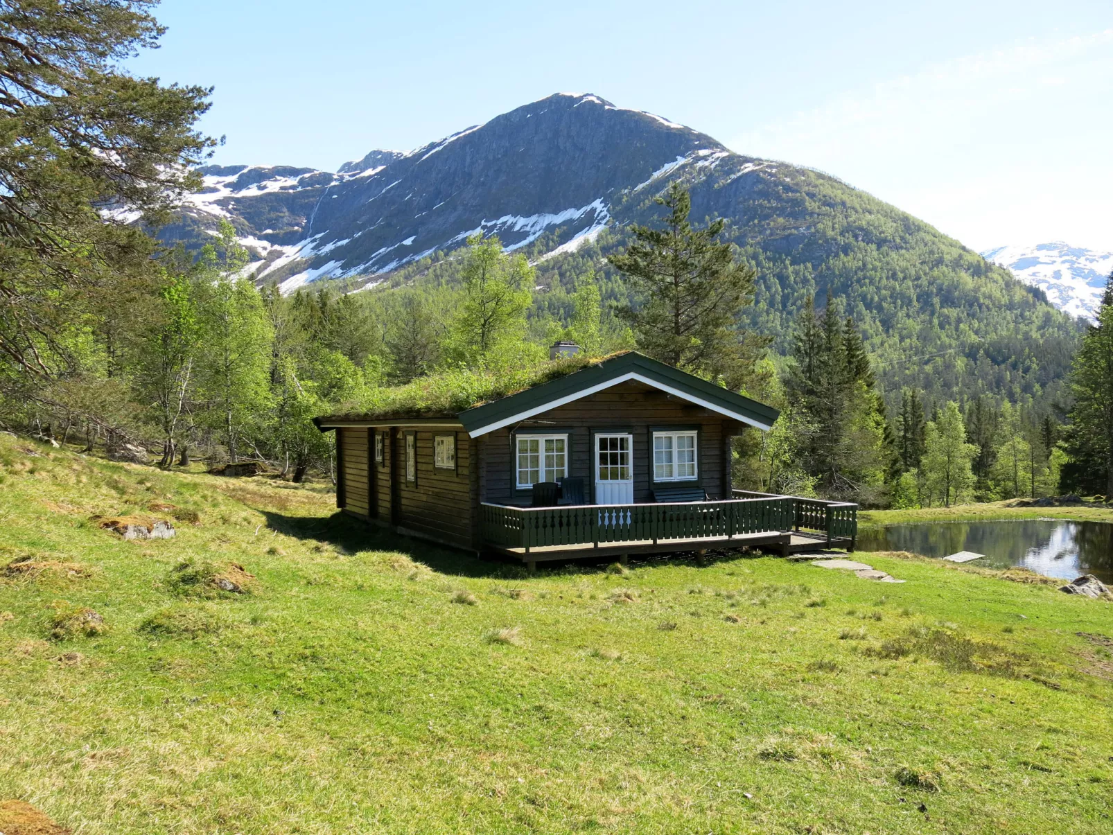 Fjellro-Buiten