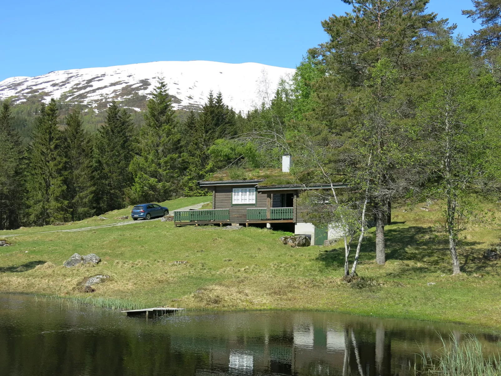 Fjellro-Buiten