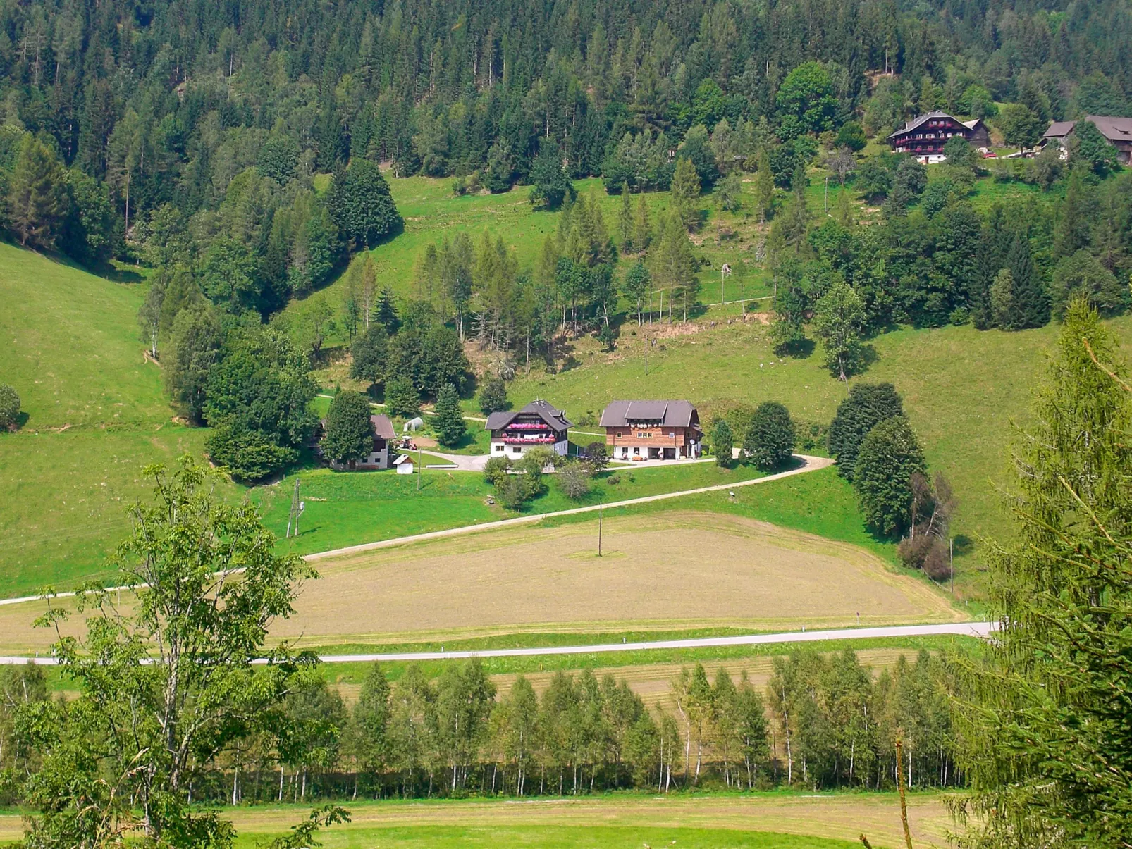 Enzian-Buiten