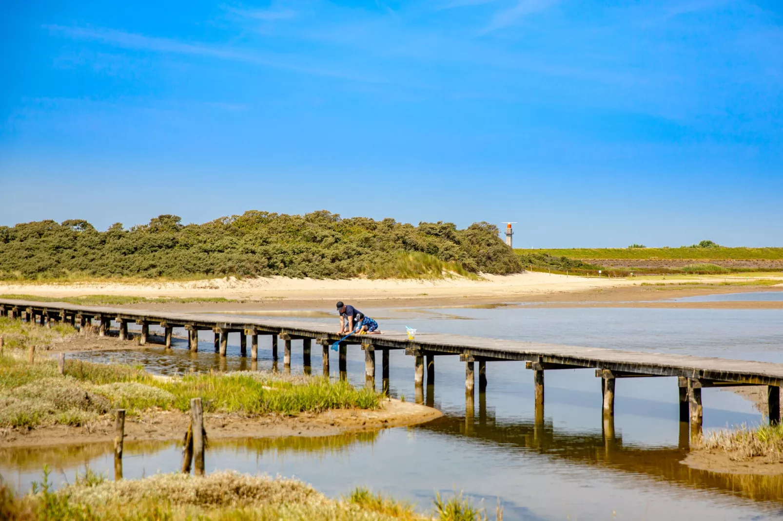 Beach Resort Nieuwvliet-Bad 15-Gebieden zomer 1km