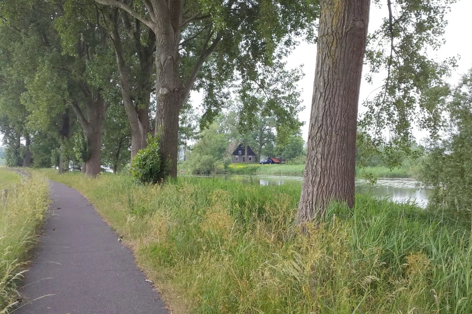 Het Biesbosch huisje-Gebieden zomer 5km