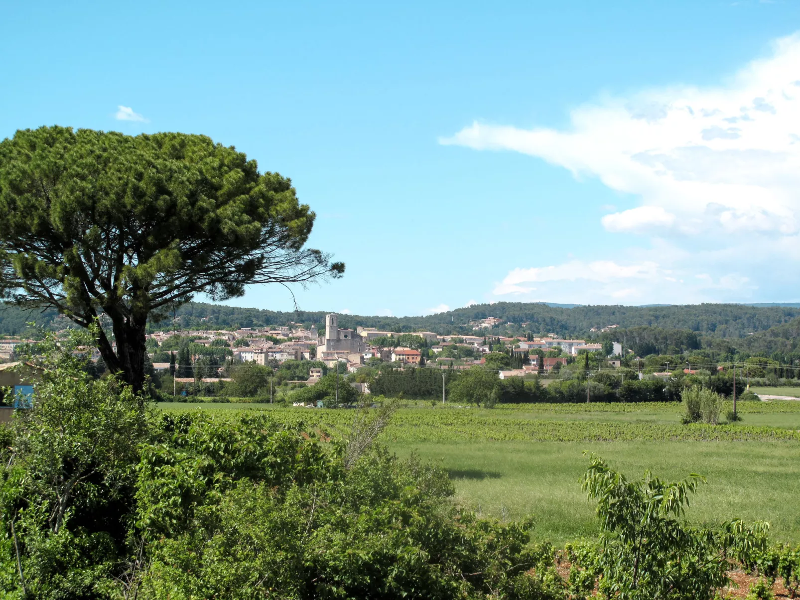 Le Collet des Redons-Omgeving