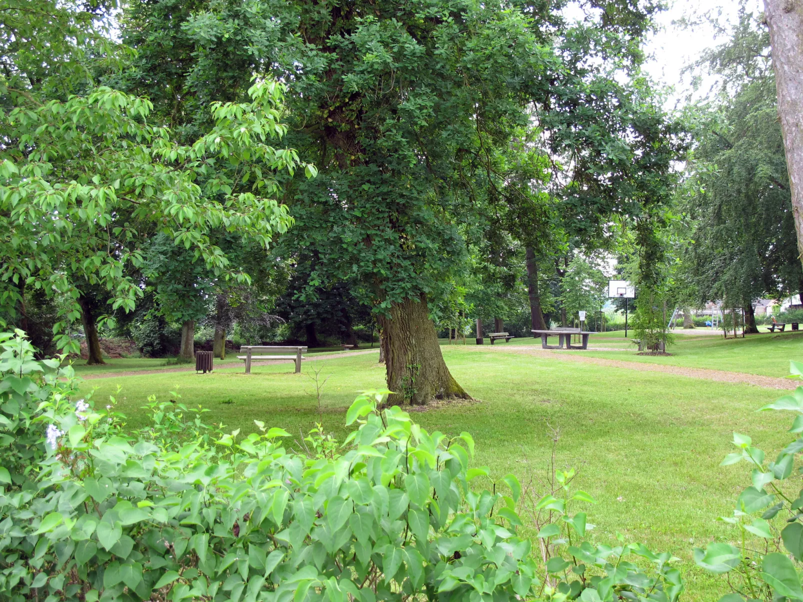 Goetheallee-Omgeving