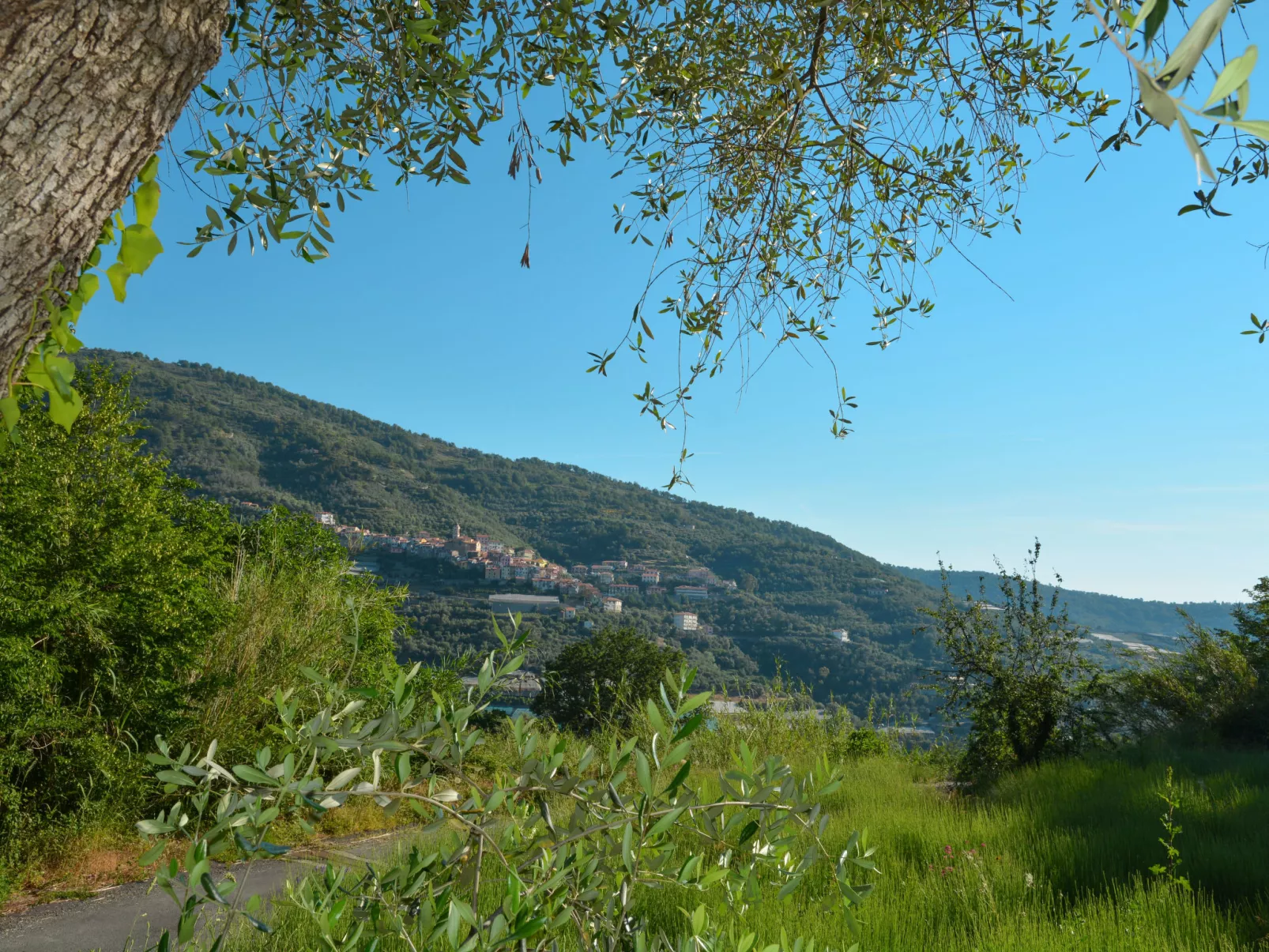 U Murina-Omgeving