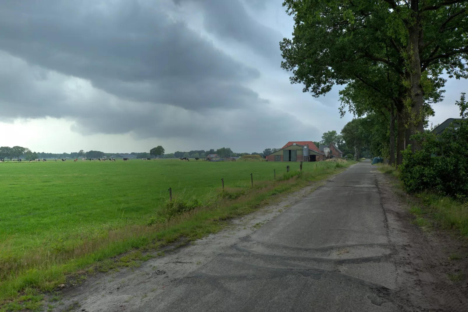 NR 3-Gebieden zomer 1km