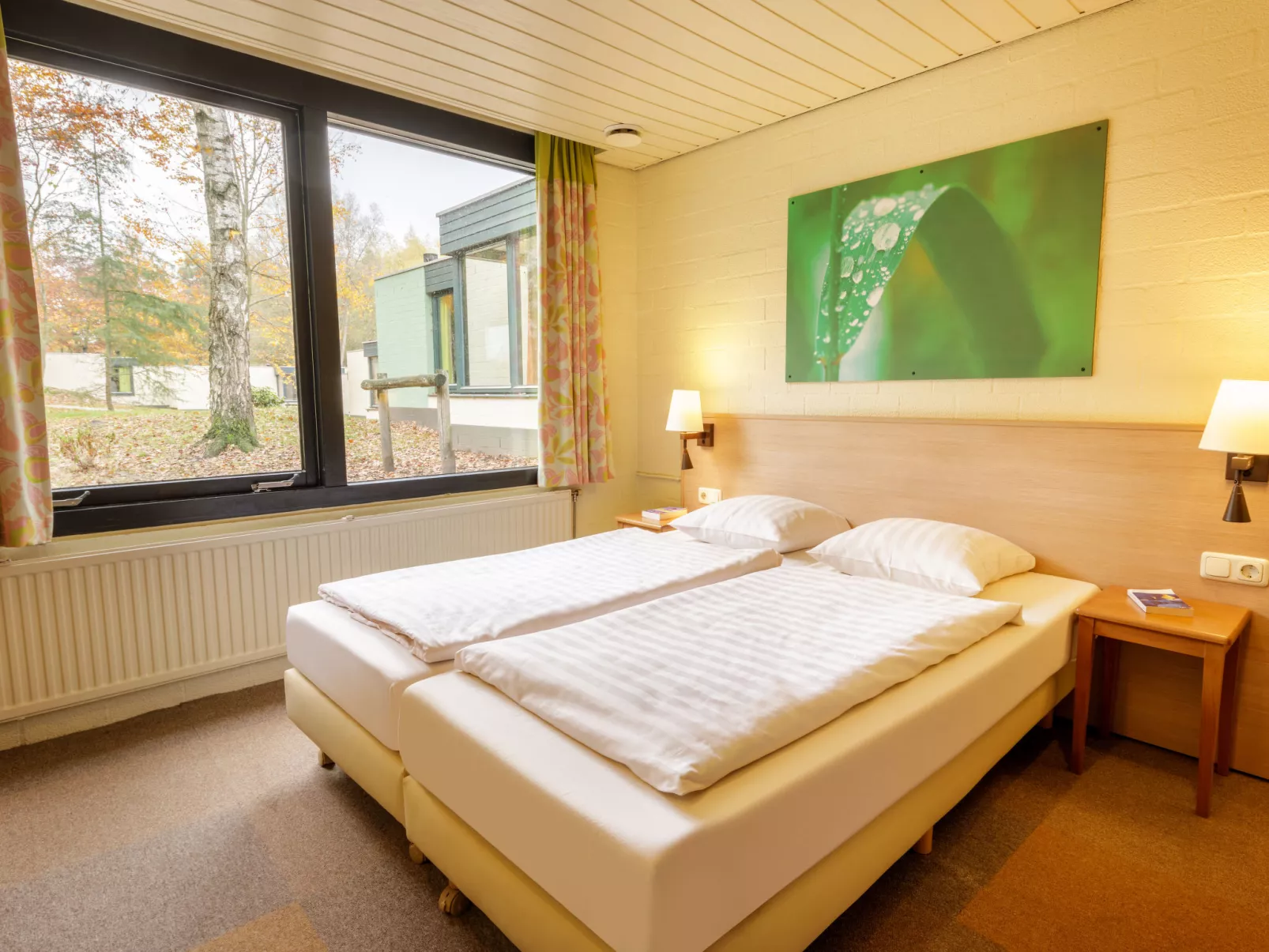Premium Cottage-Buiten