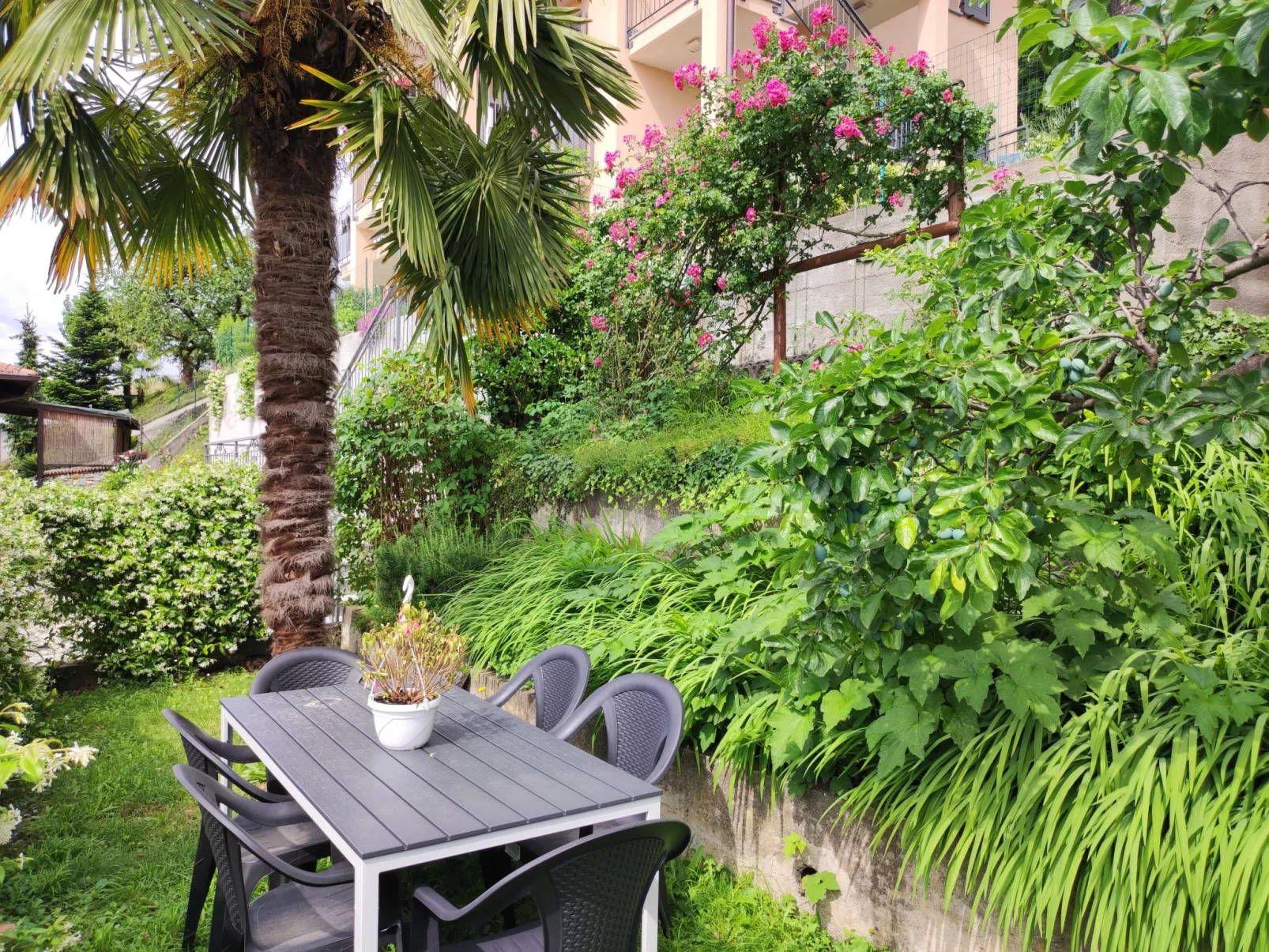 Casa dei Gelsomini-Buiten