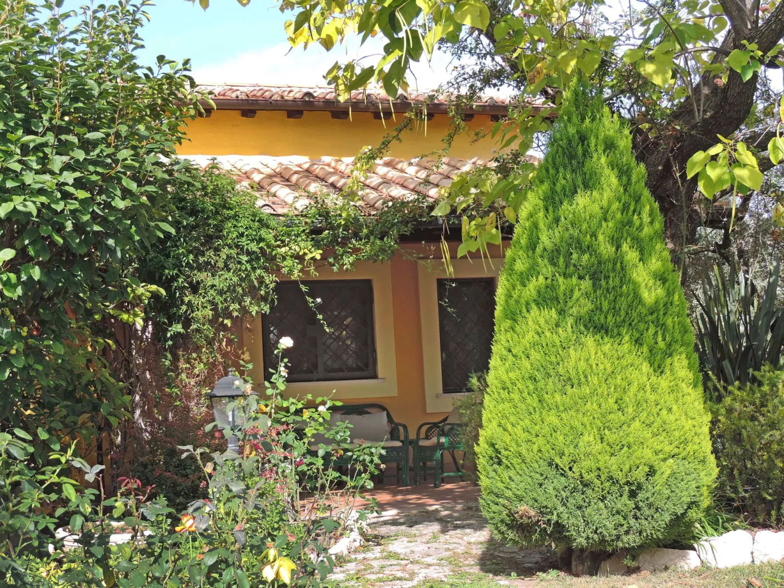 Olive Grove Sabina-Buiten