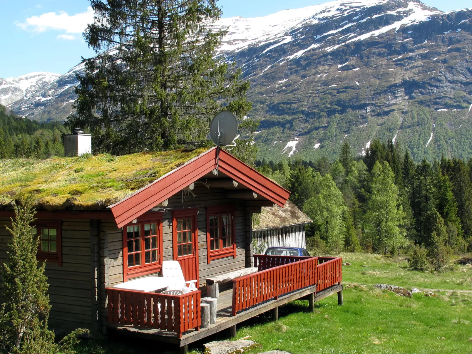 Fjellbris