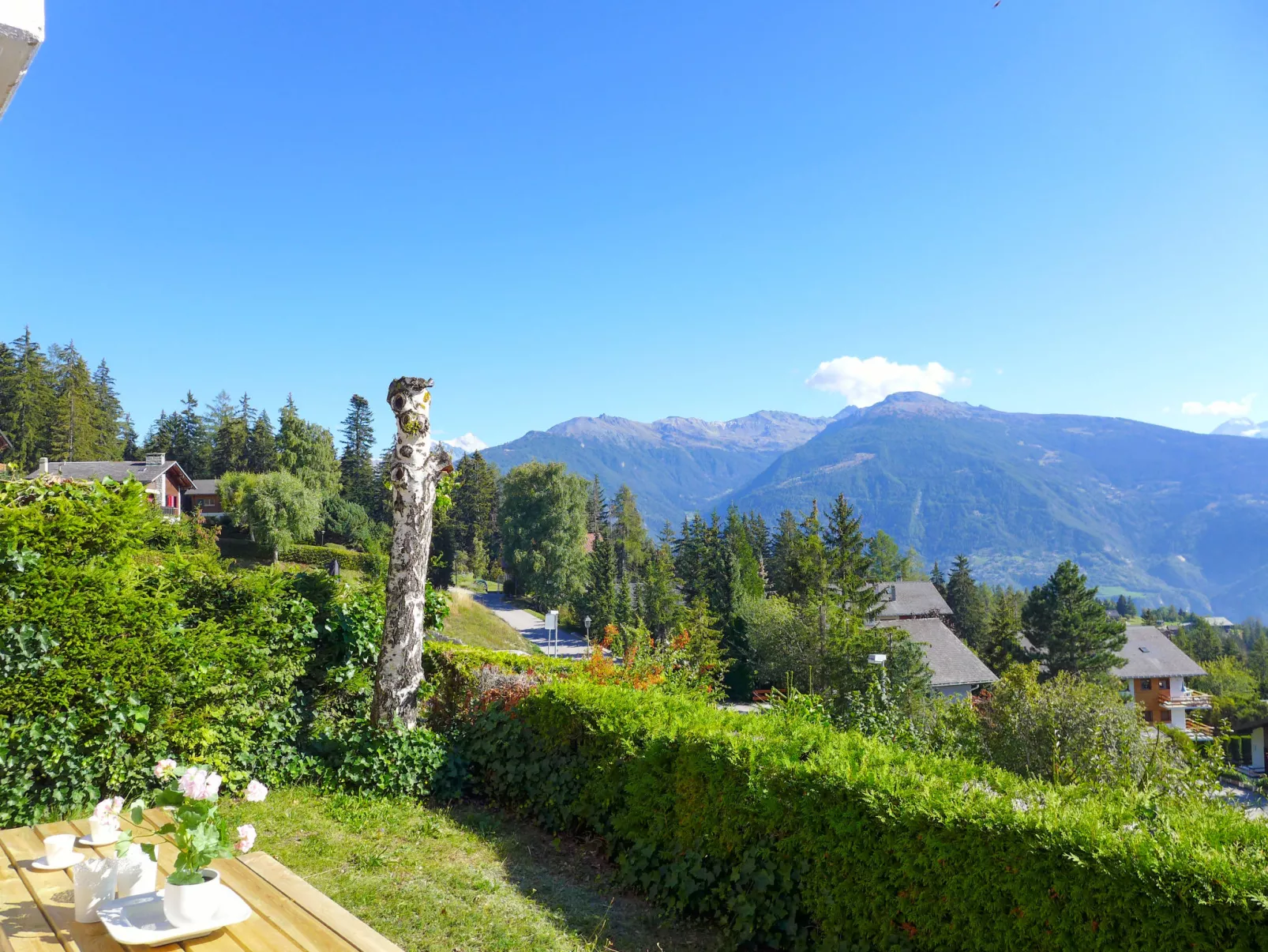 Chalet La Délège-Buiten
