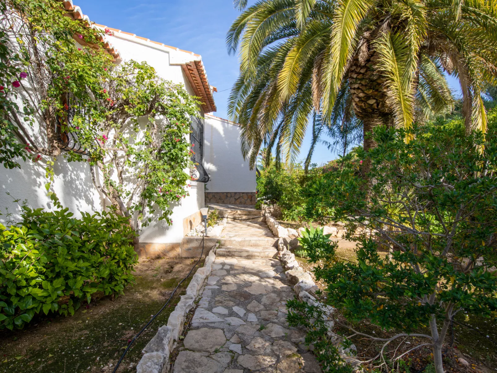 Cap Marti-Binnen