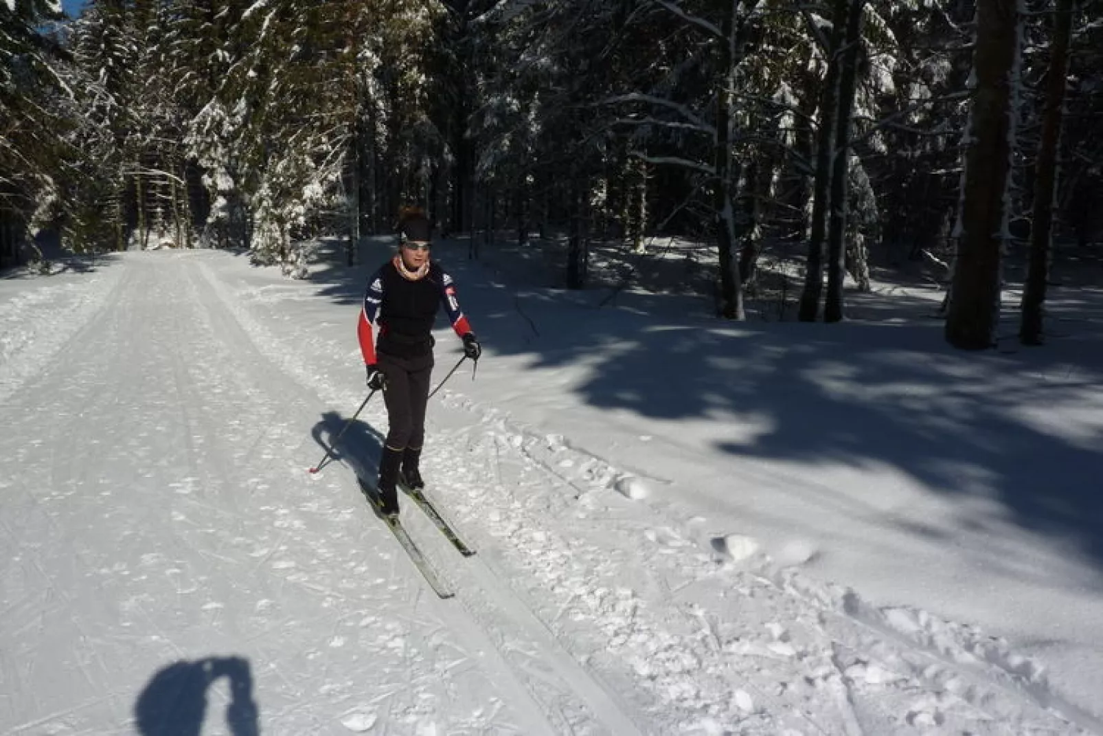Genevieve 1-Gebied winter 5km