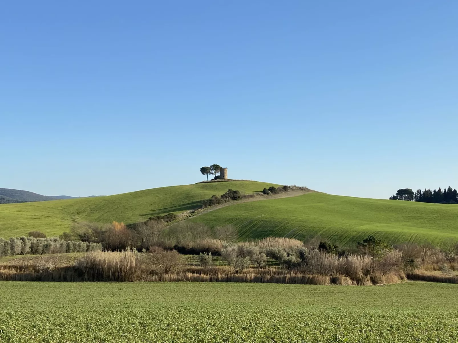 Bouganville-Omgeving