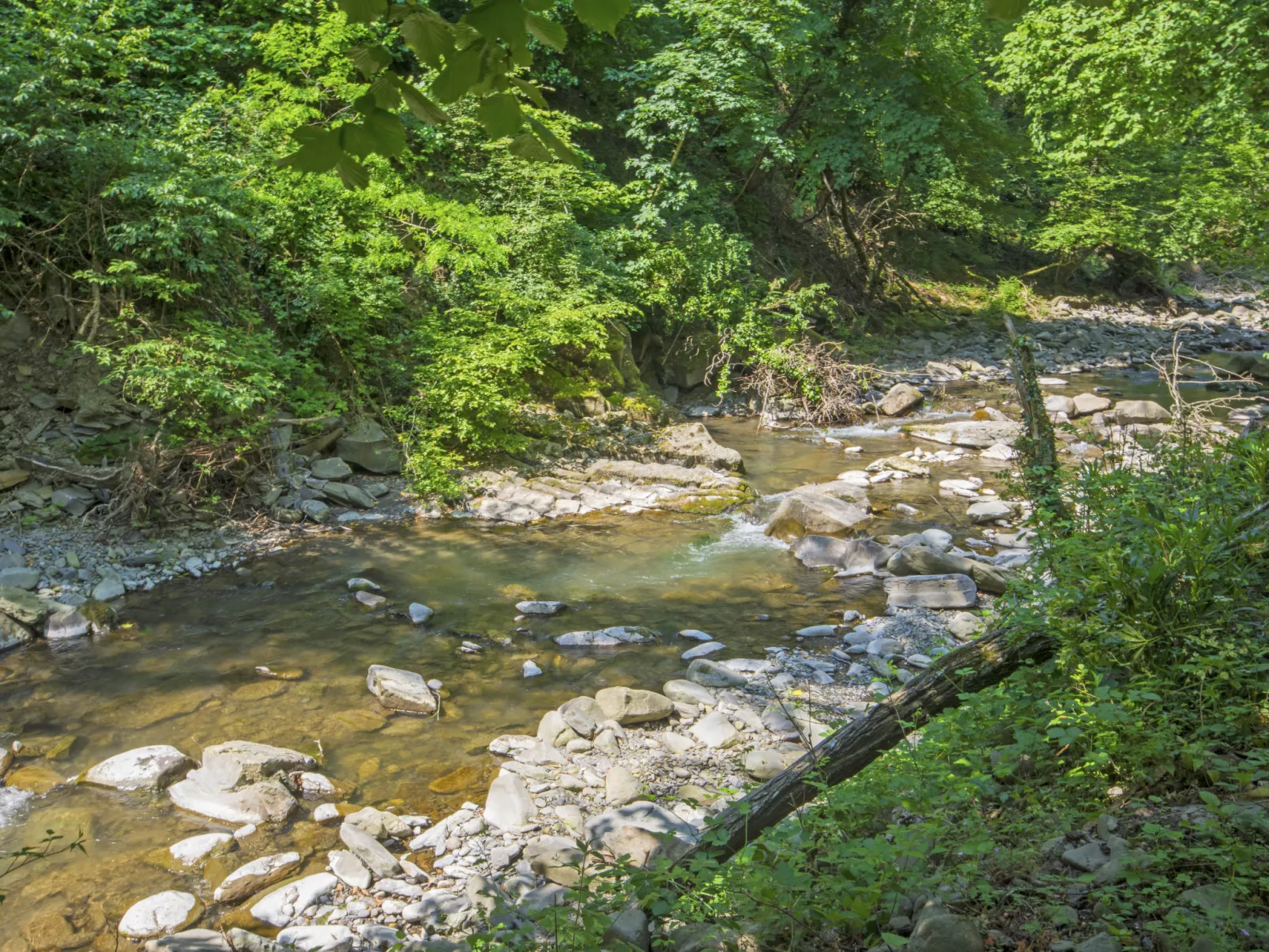 Il Mulino di Cecco-Buiten