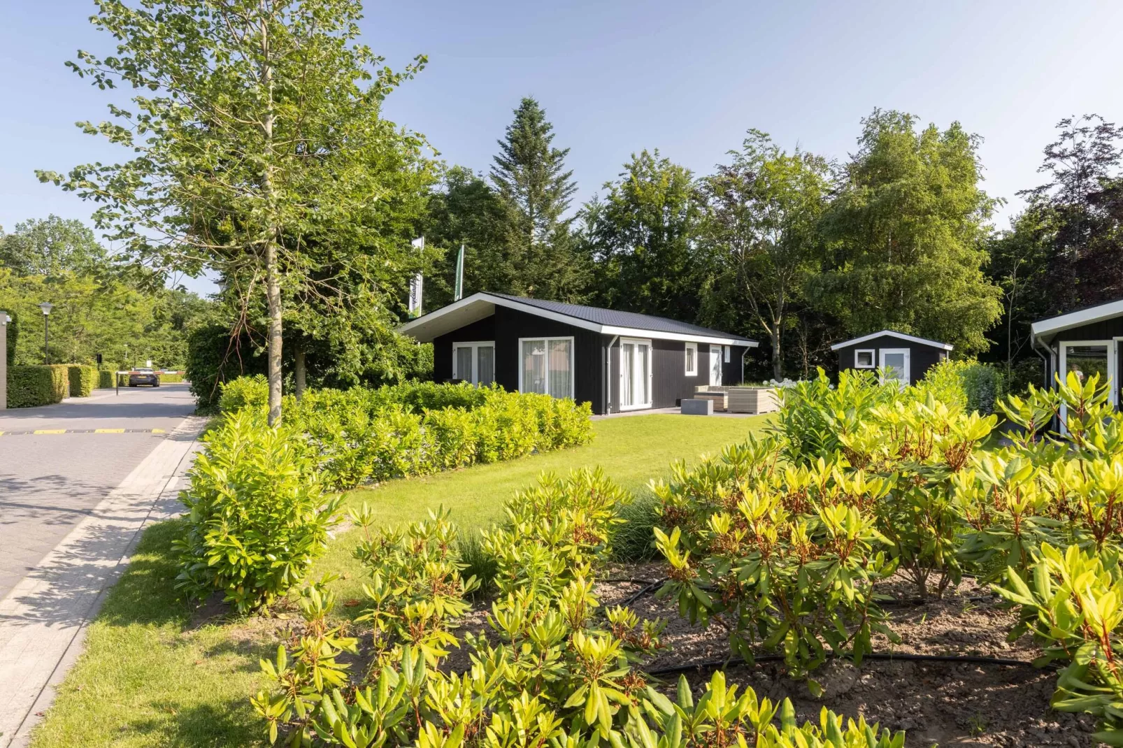 Vakantiepark Molenvelden 6-Buitenkant zomer