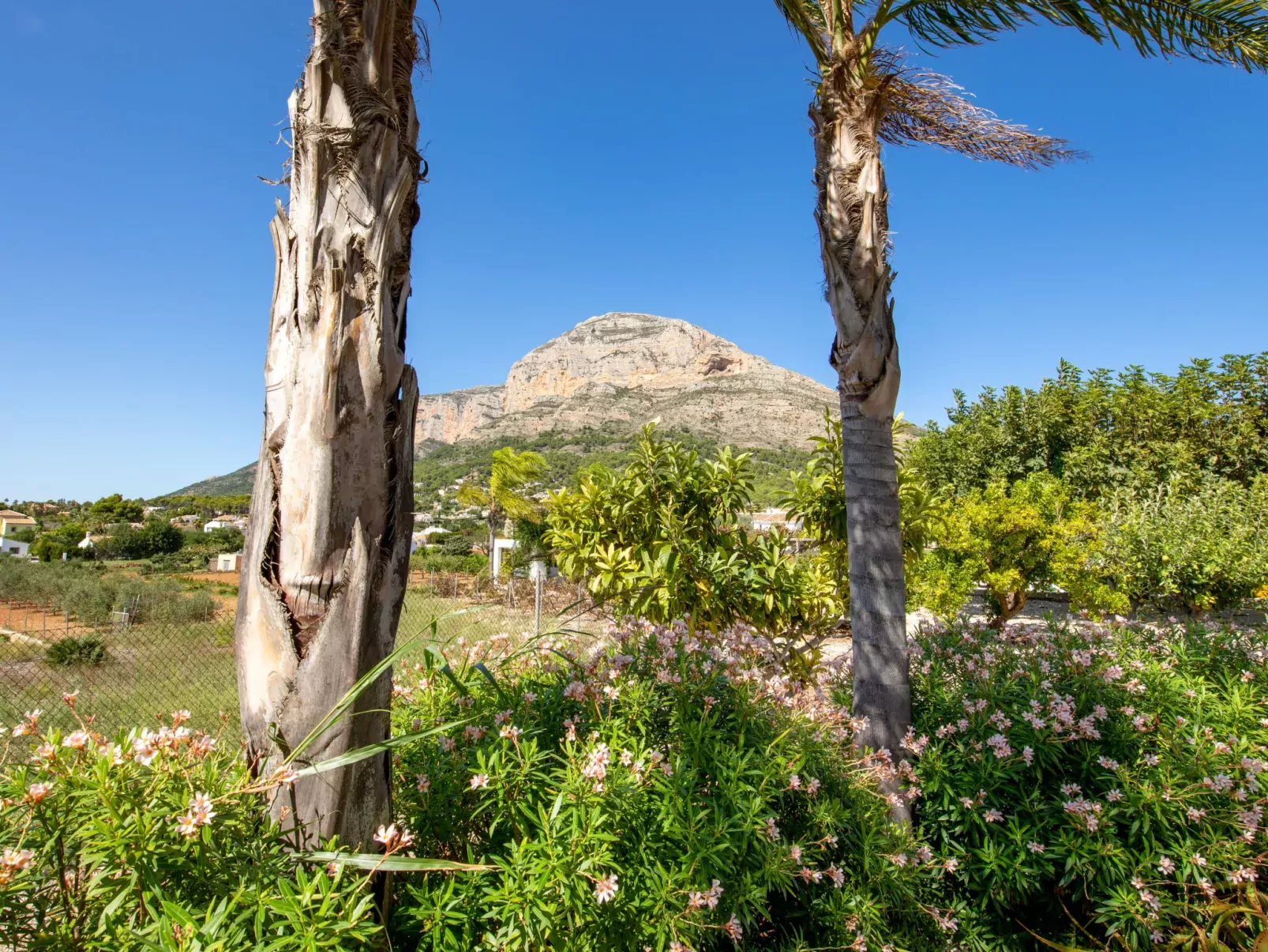 Villa Finca Labranza-Binnen