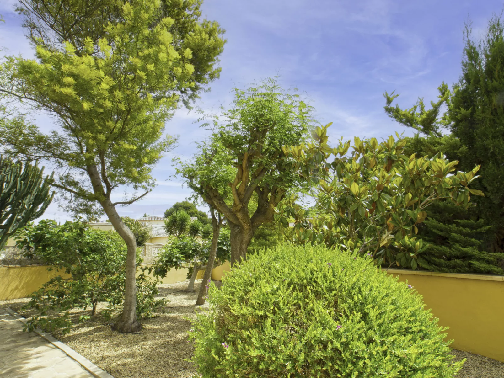 Villa Acuario-Buiten