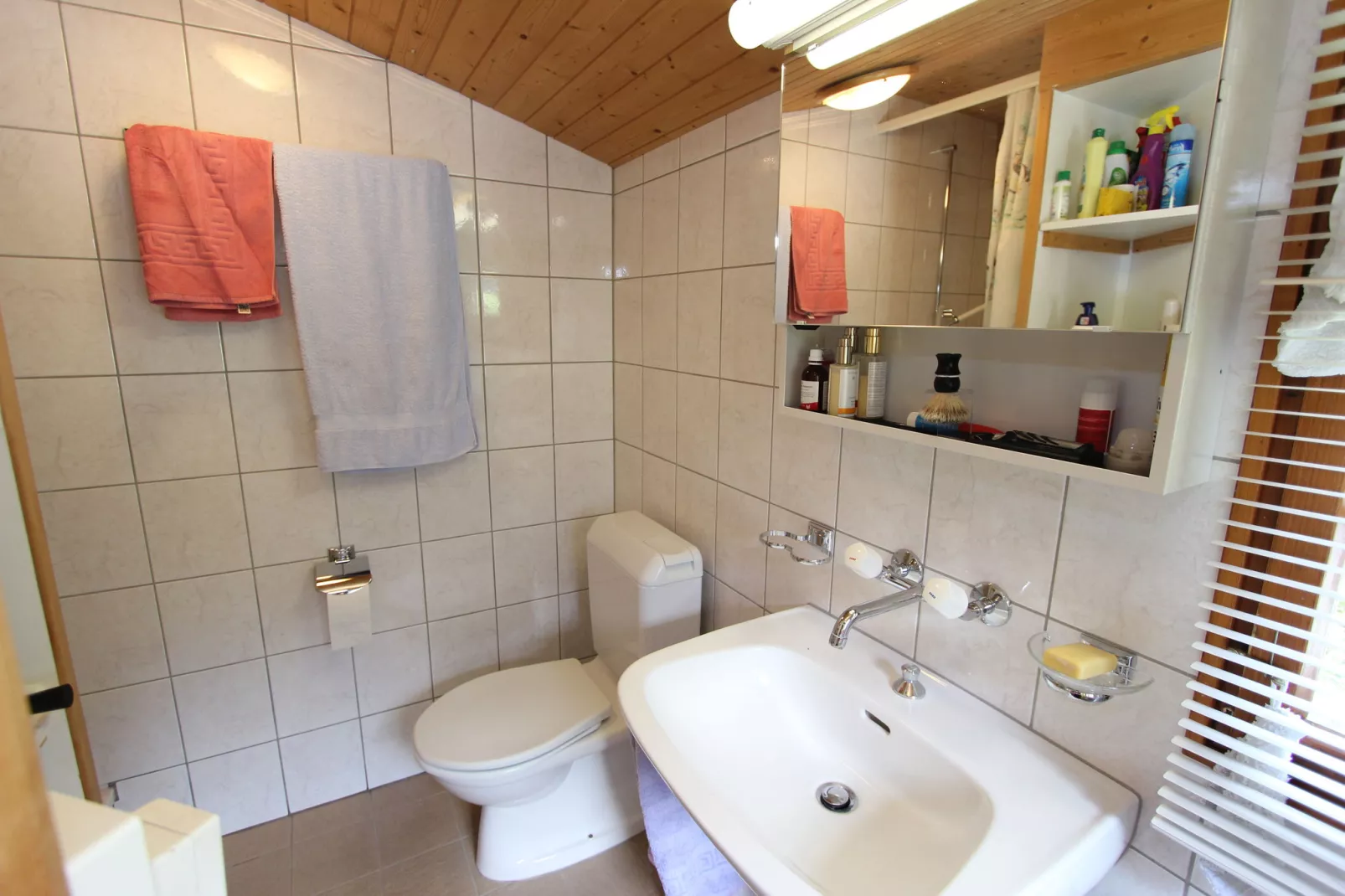 Saflischgarten-Badkamer