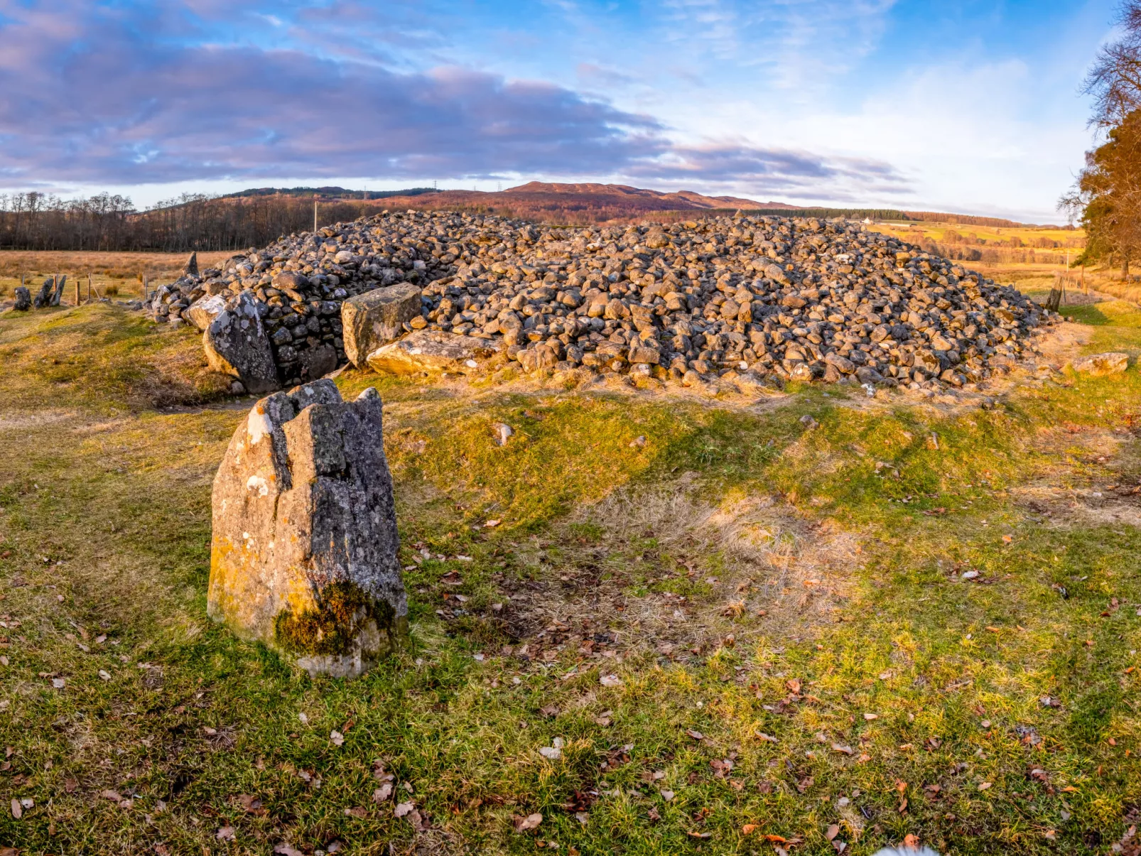 Betulamhor-Omgeving