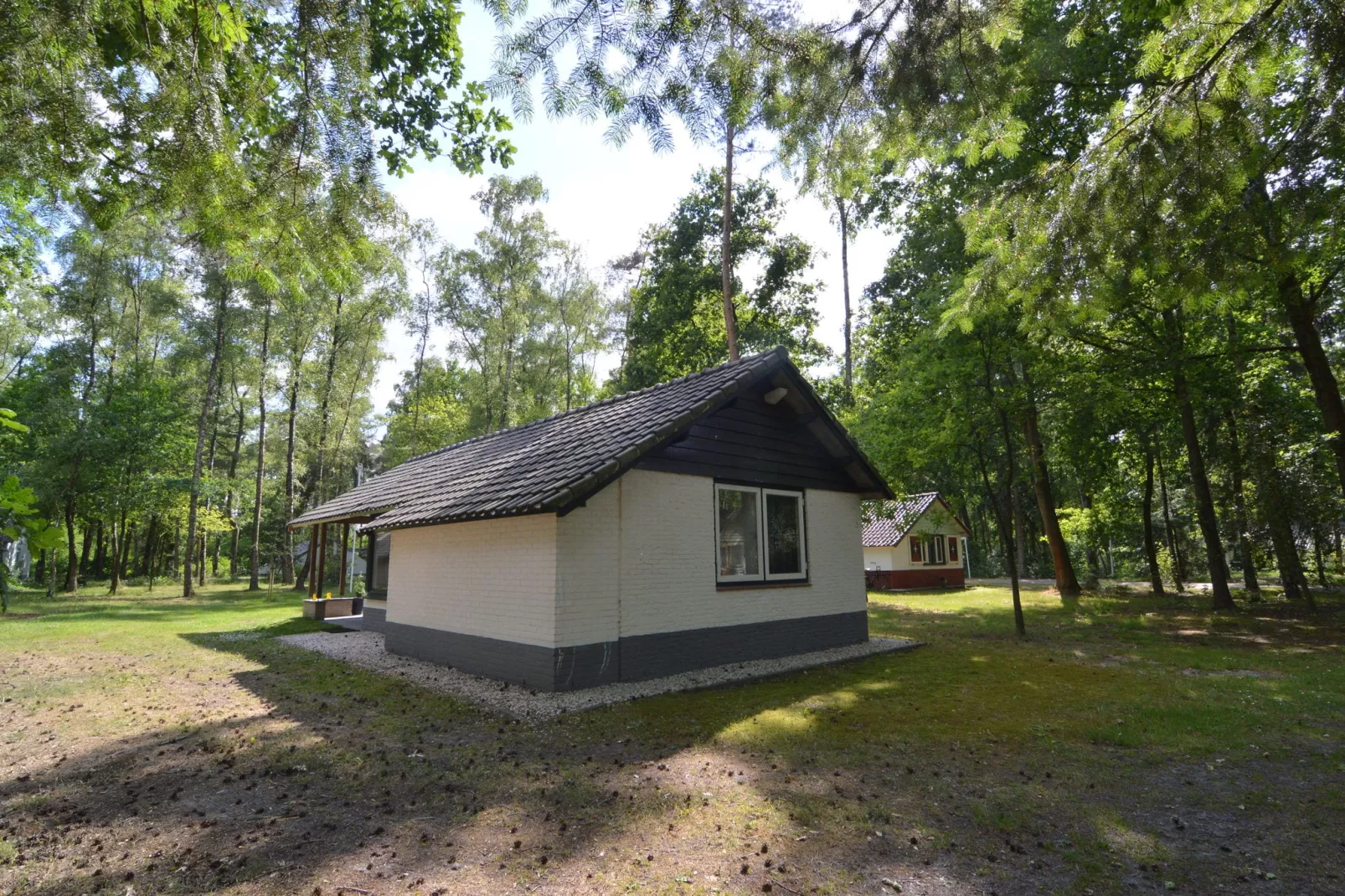 't Haasje-Buitenkant zomer