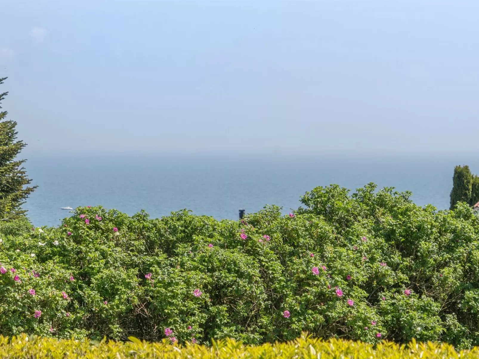 "Jarmericus" - 300m from the sea-Buiten