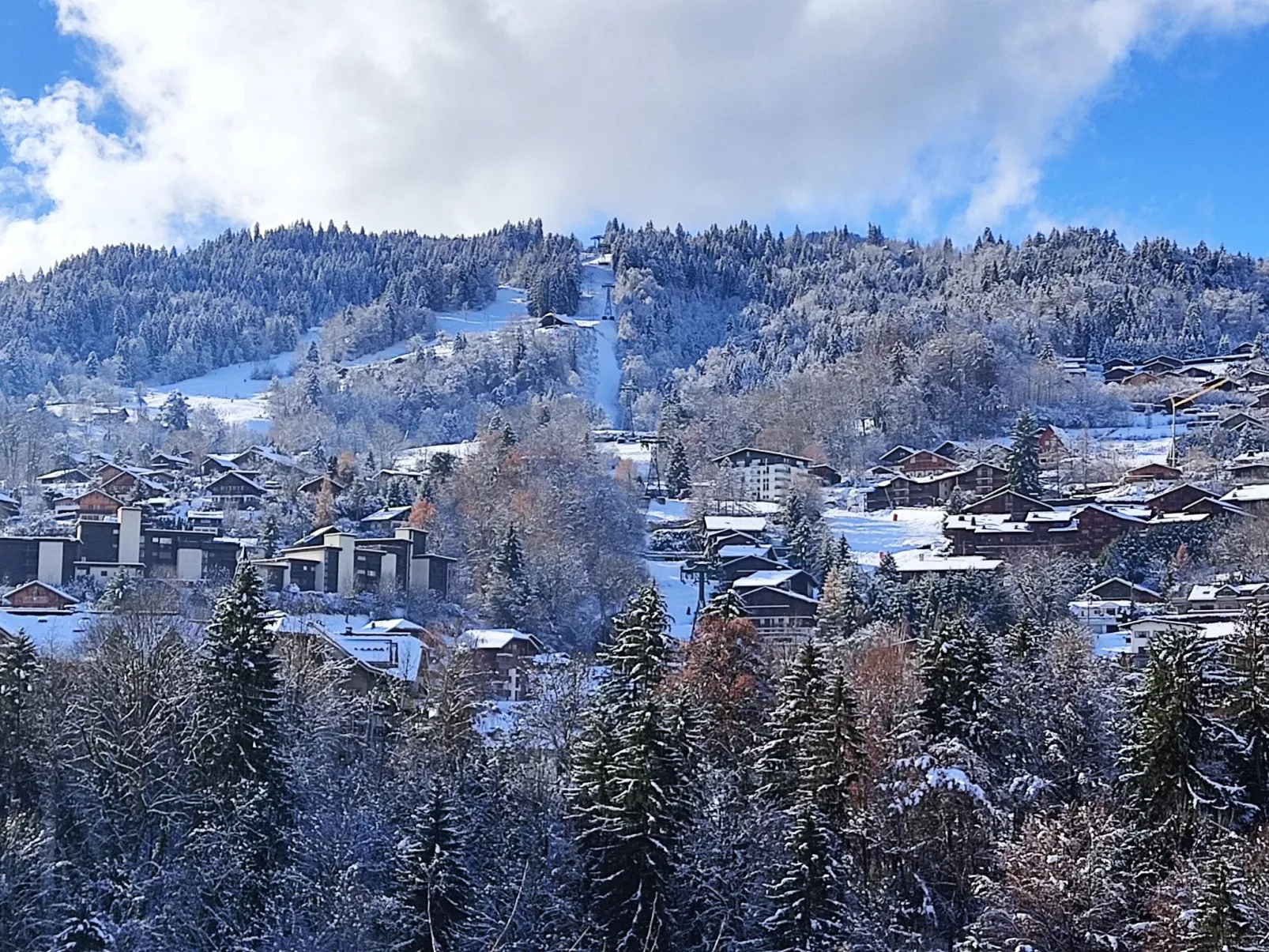 L'Orée du Parc-Omgeving