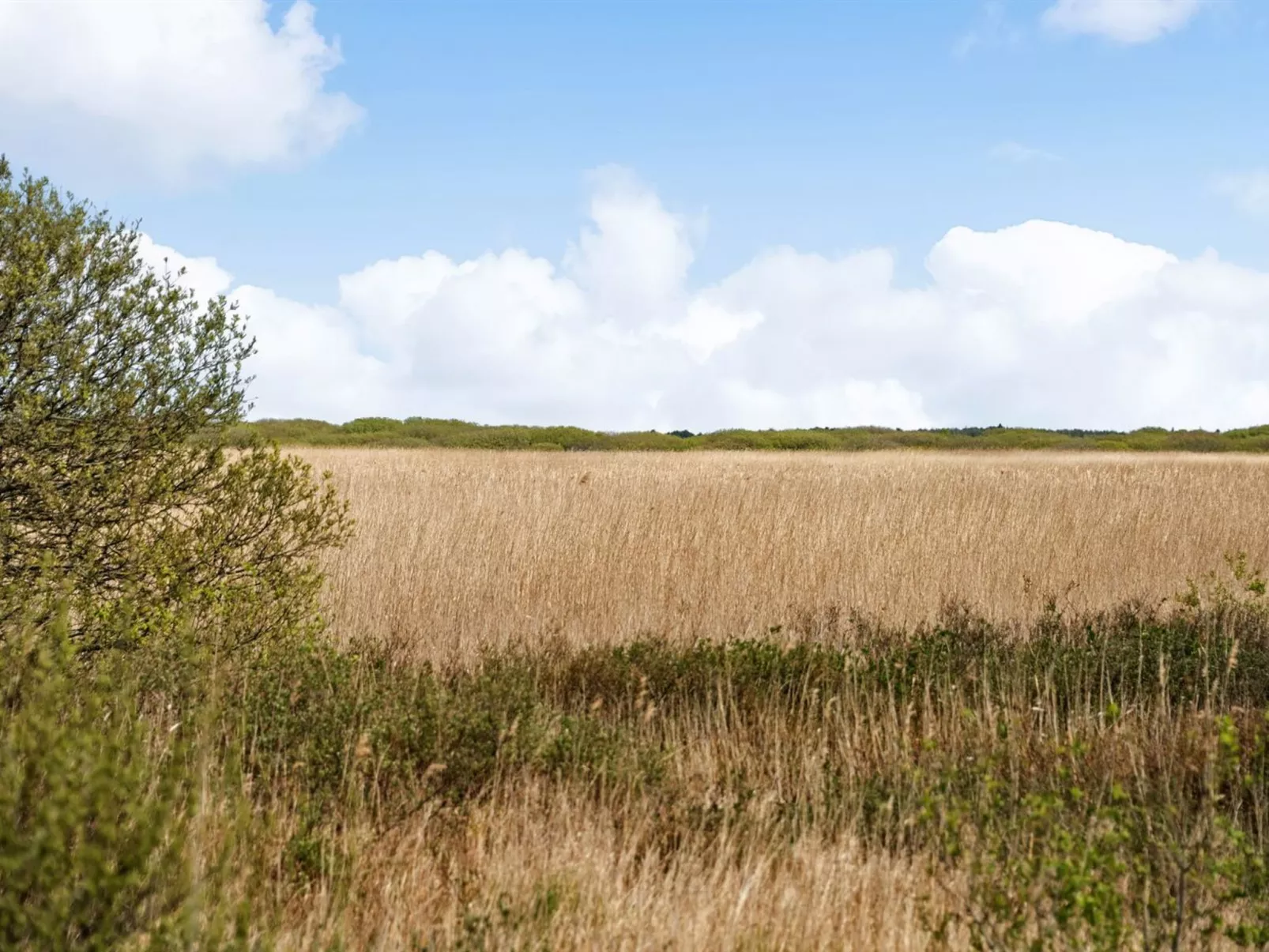 "Hermandine" - 700m from the sea-Binnen