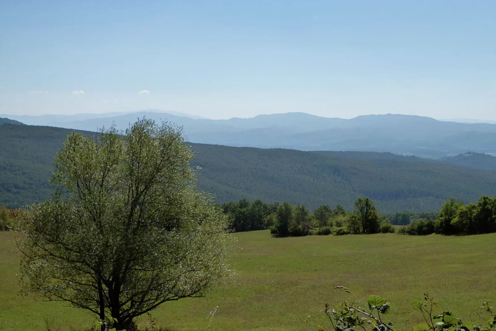 Quercia Undici-Gebieden zomer 1km