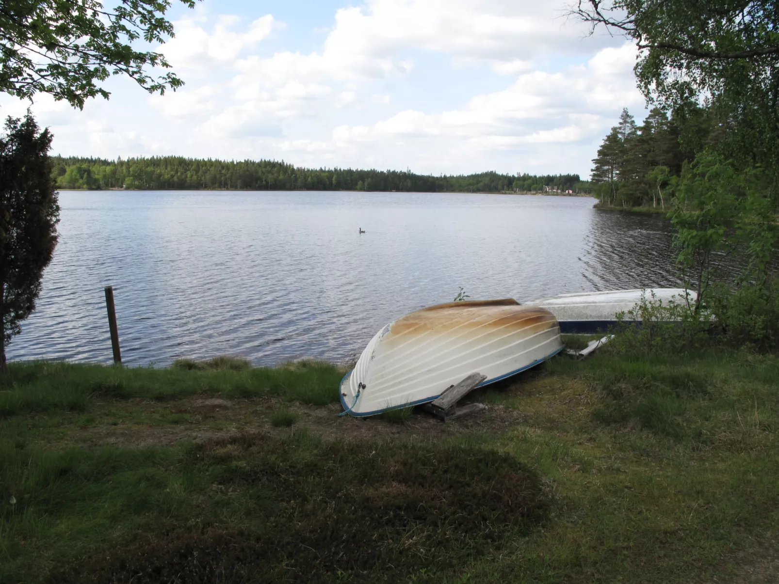 Vänneböke-Buiten