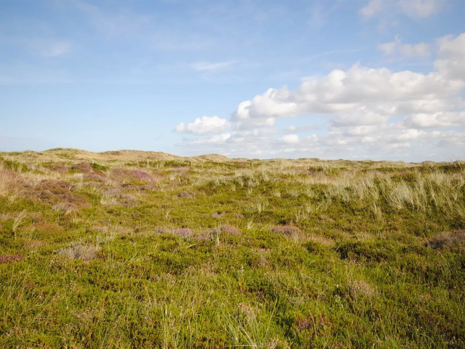 "Wulfhard" - 400m from the sea-Buiten