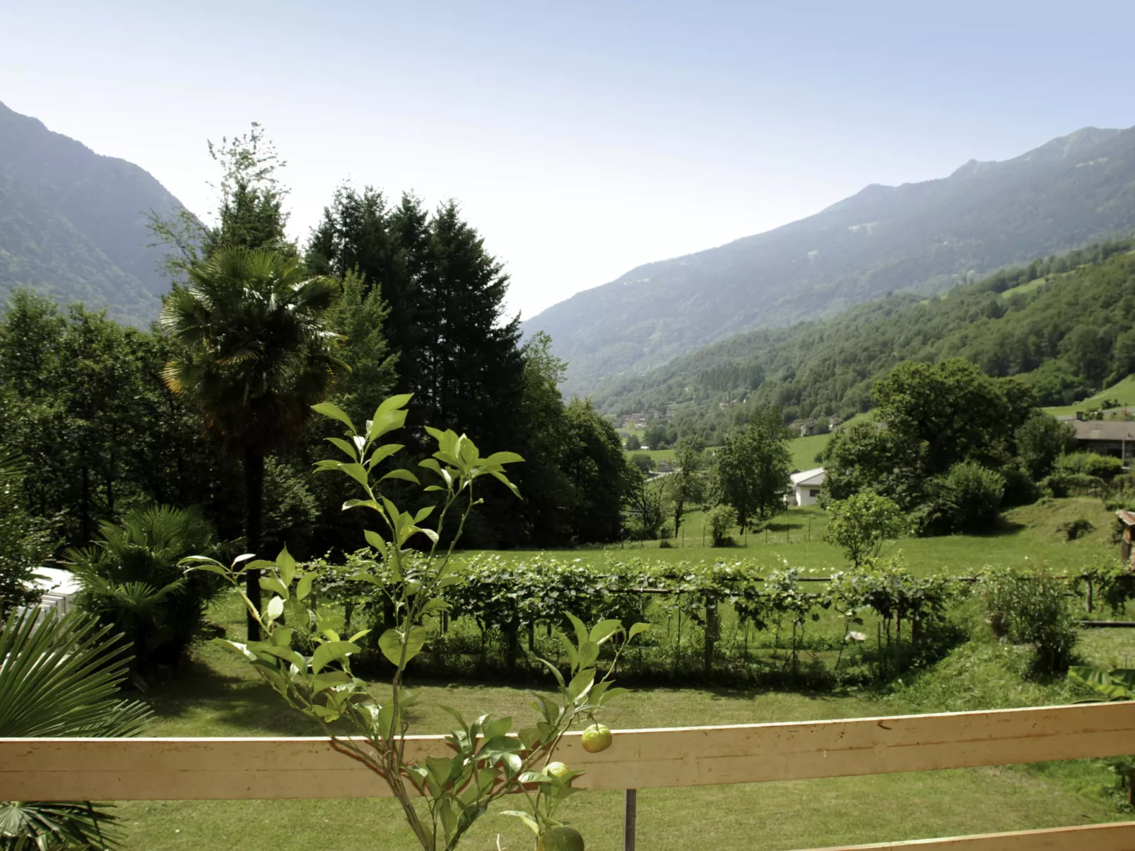 Vista Valle-Buiten
