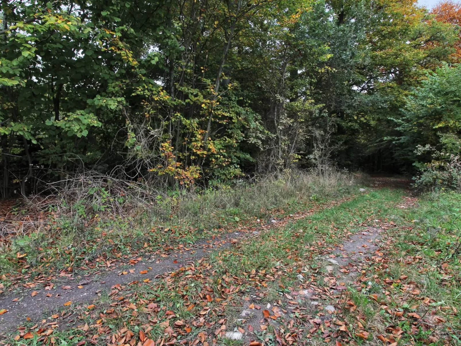 "Vojo" - 100m from the sea-Buiten