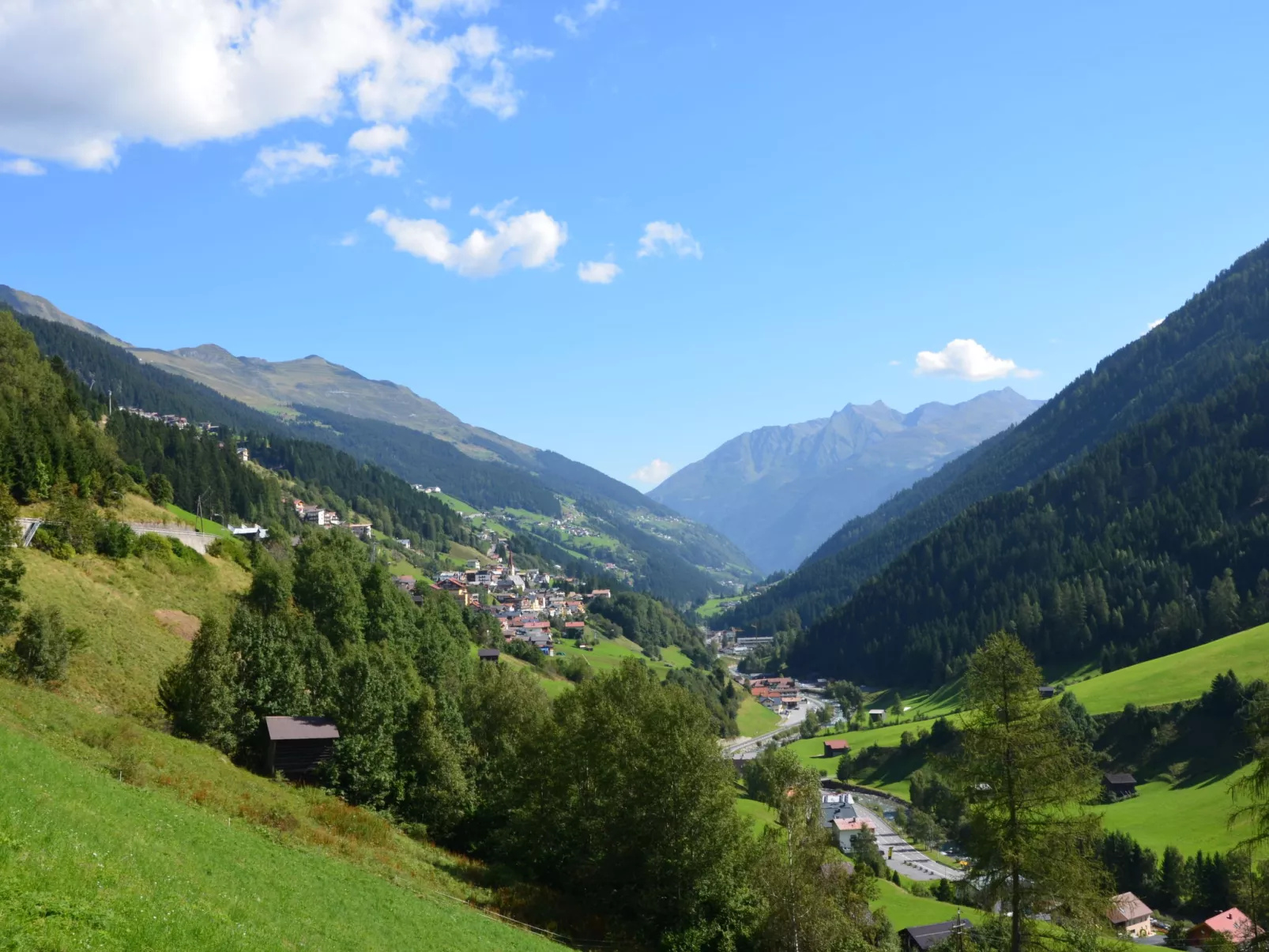 Alpenrose-Omgeving
