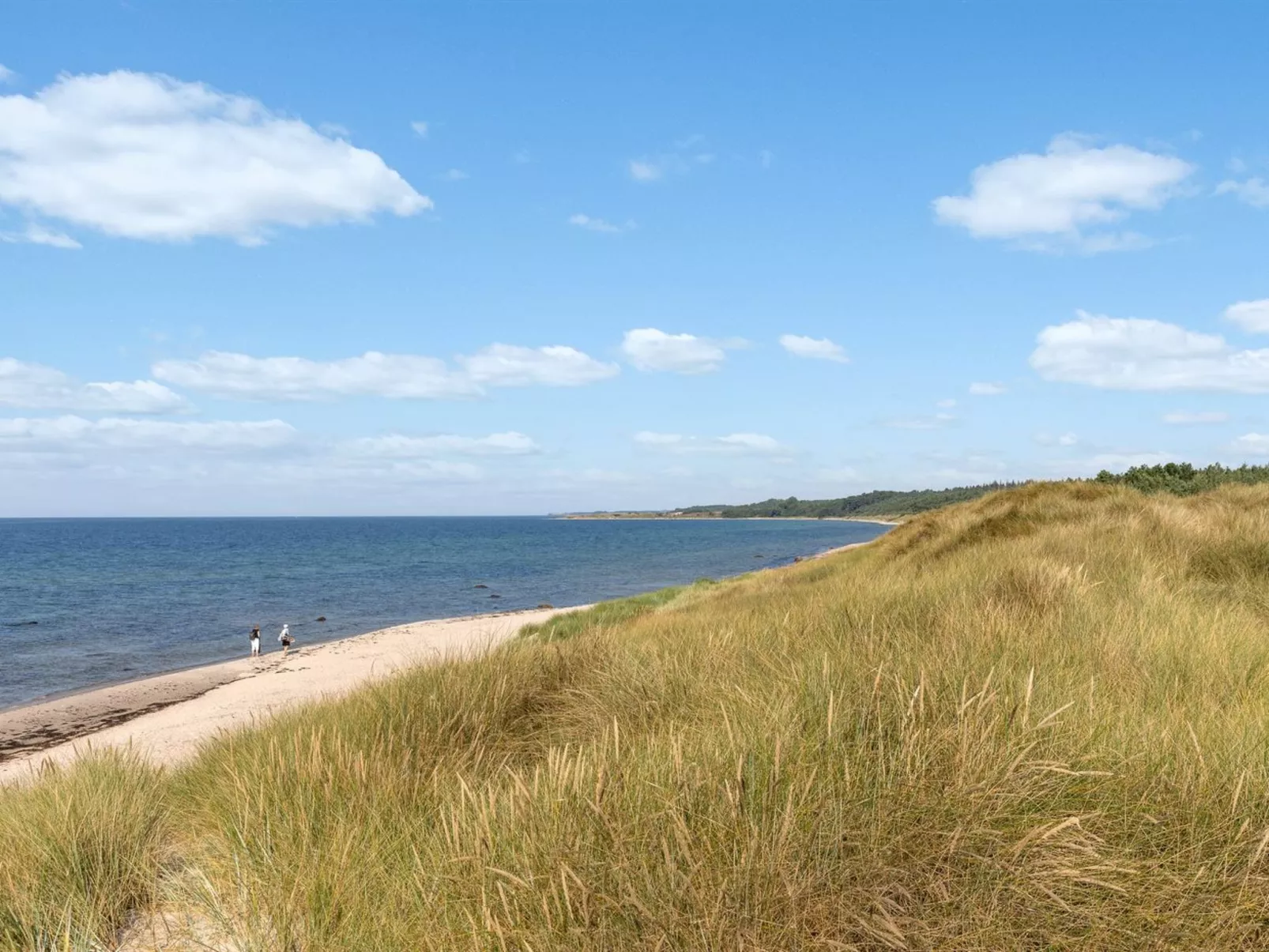 "Anarosa" - 200m from the sea-Buiten