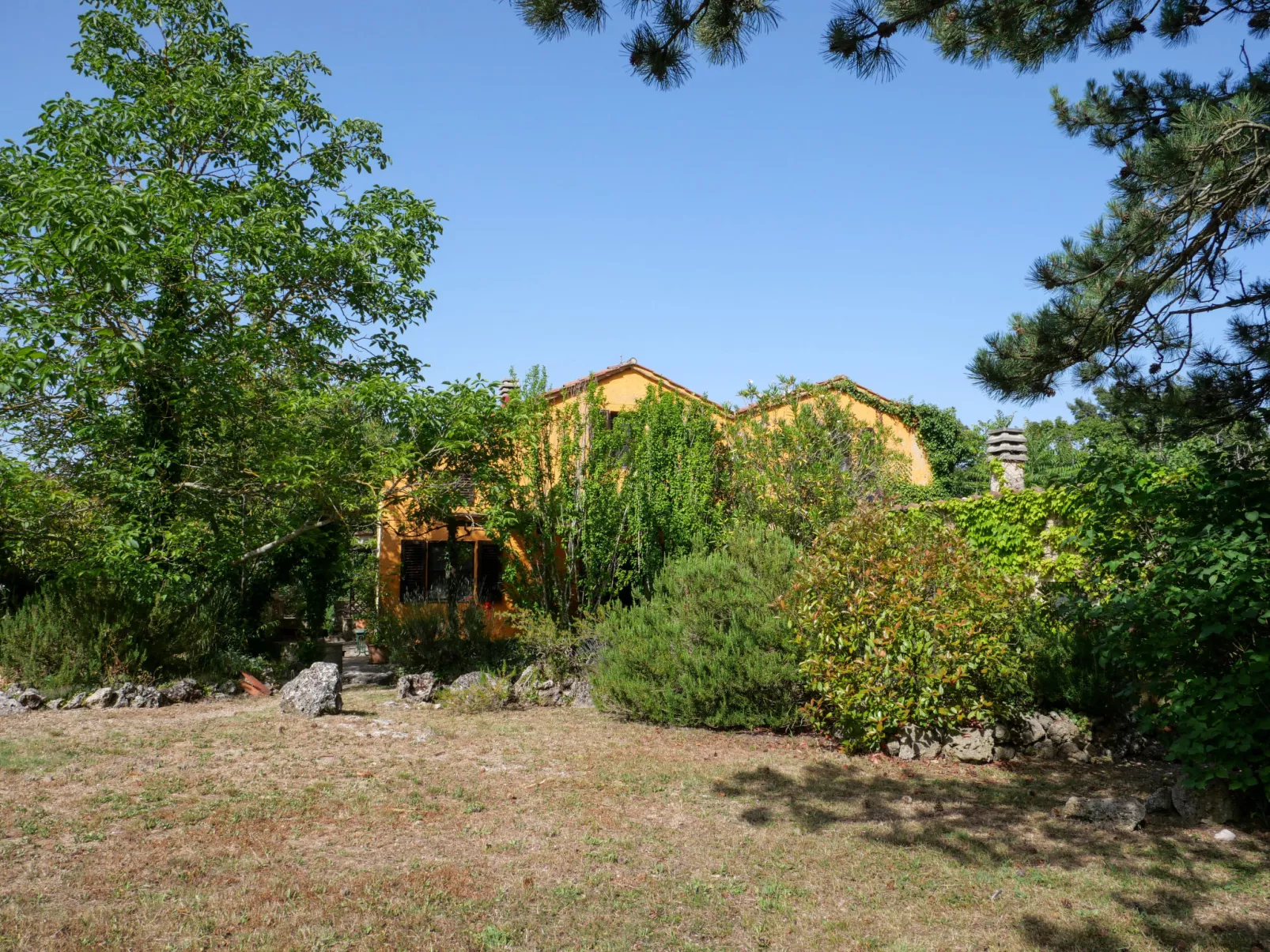 Pergola