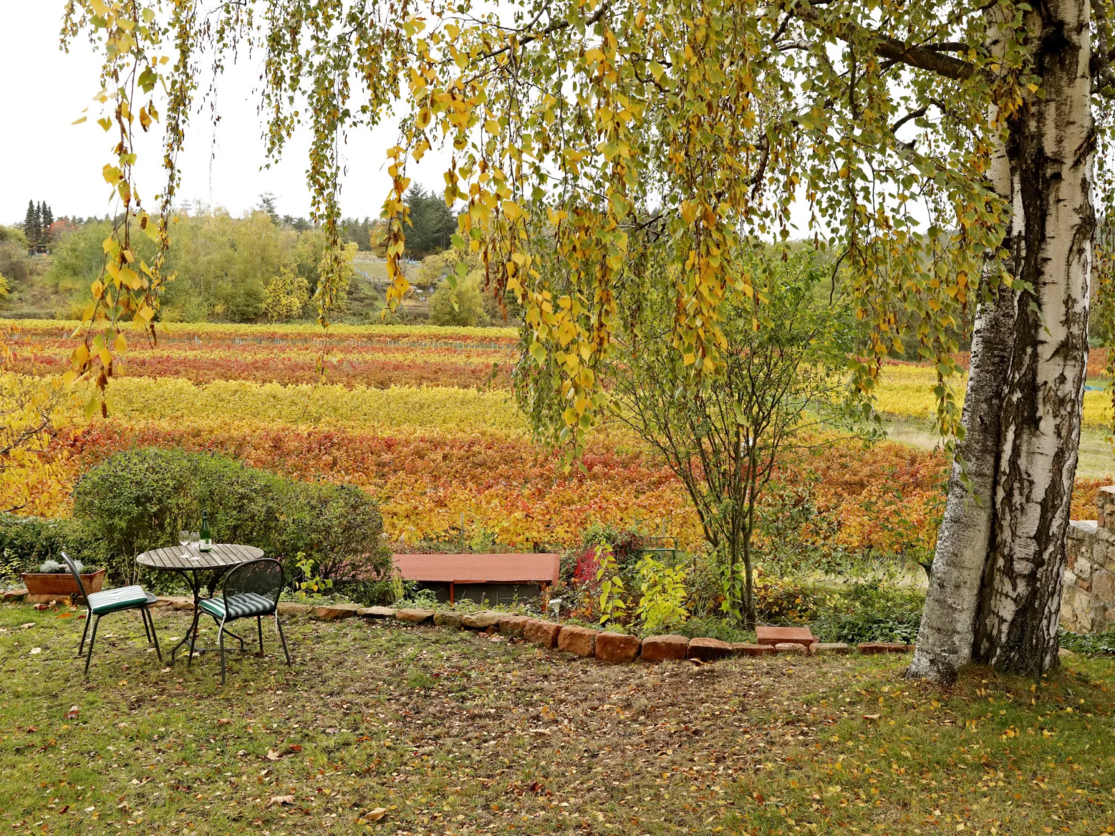 Am Weinberg-Buiten