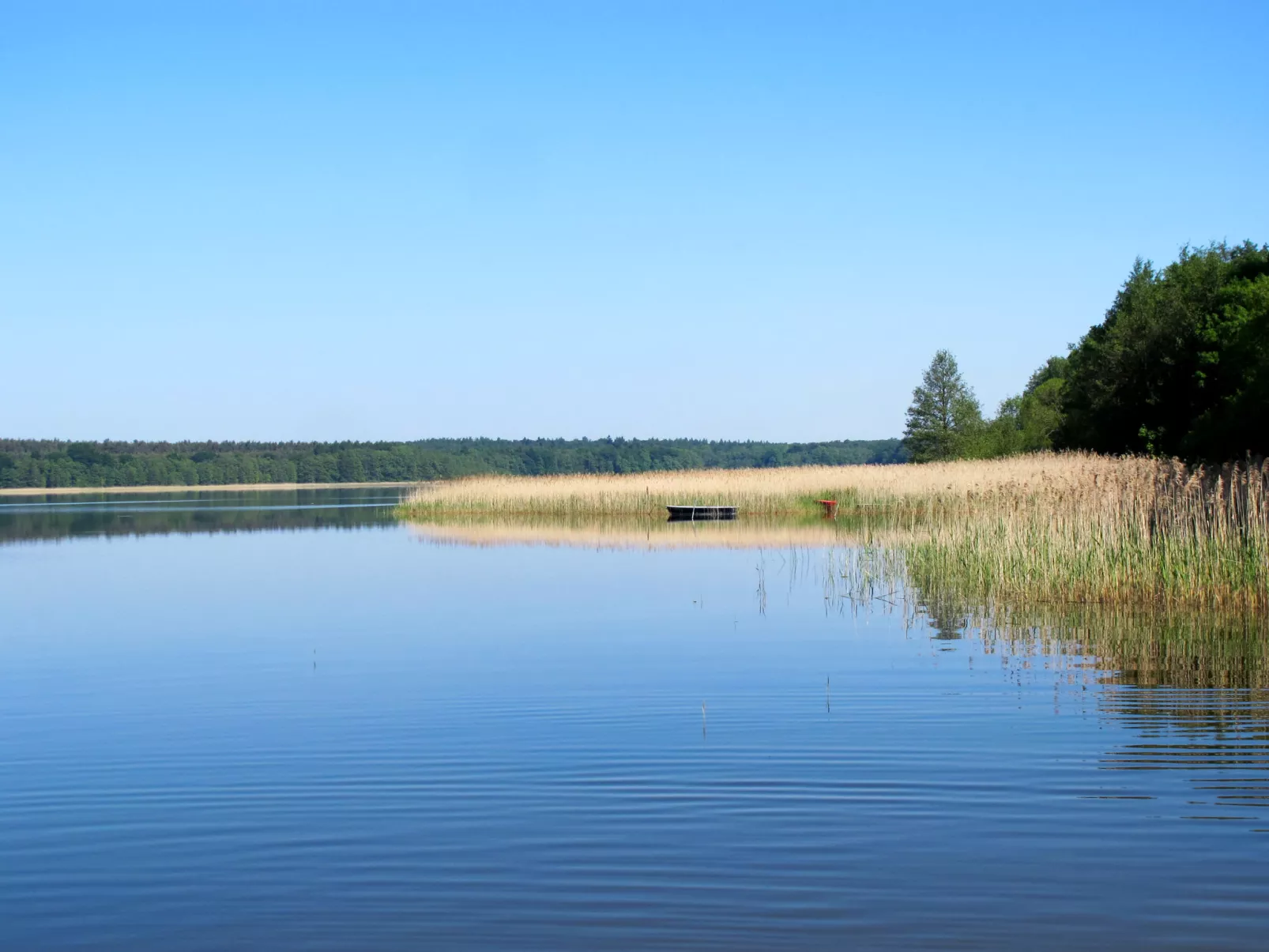 Wald und See-Binnen