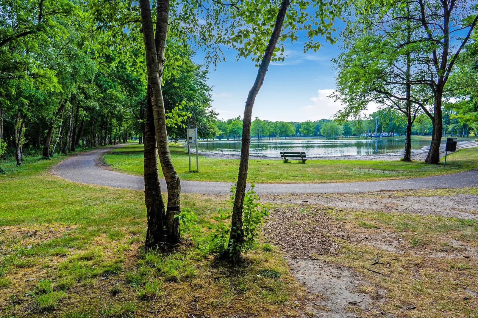 Sonnevijver NR A50-Gebieden zomer 1km