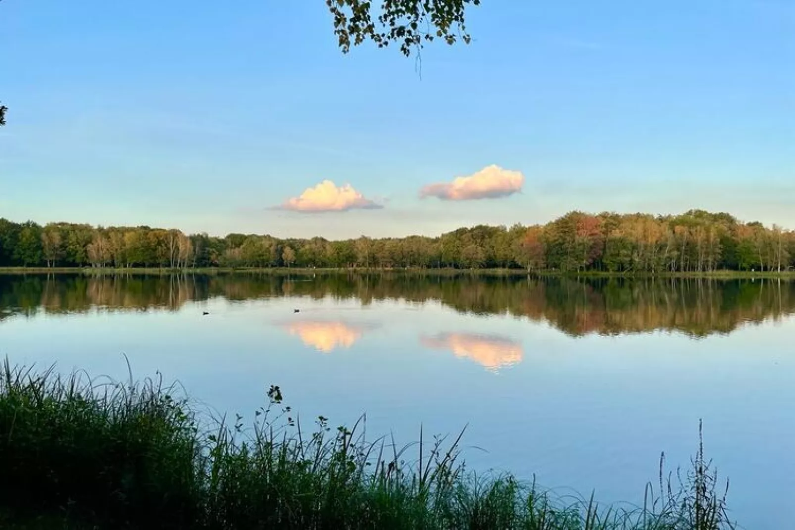 Sonnevijver NR A50-Gebieden zomer 20km