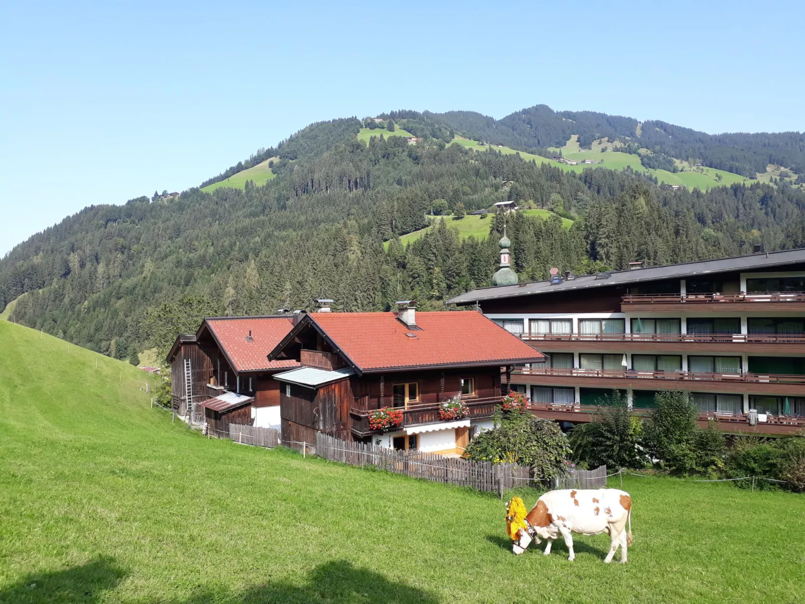 Sonnheim-Buiten