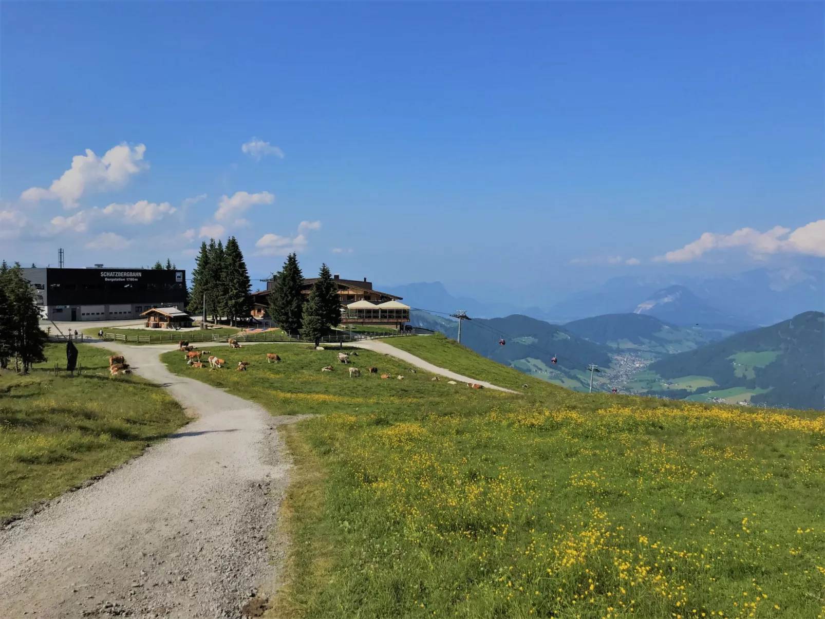 Panoramablick-Omgeving