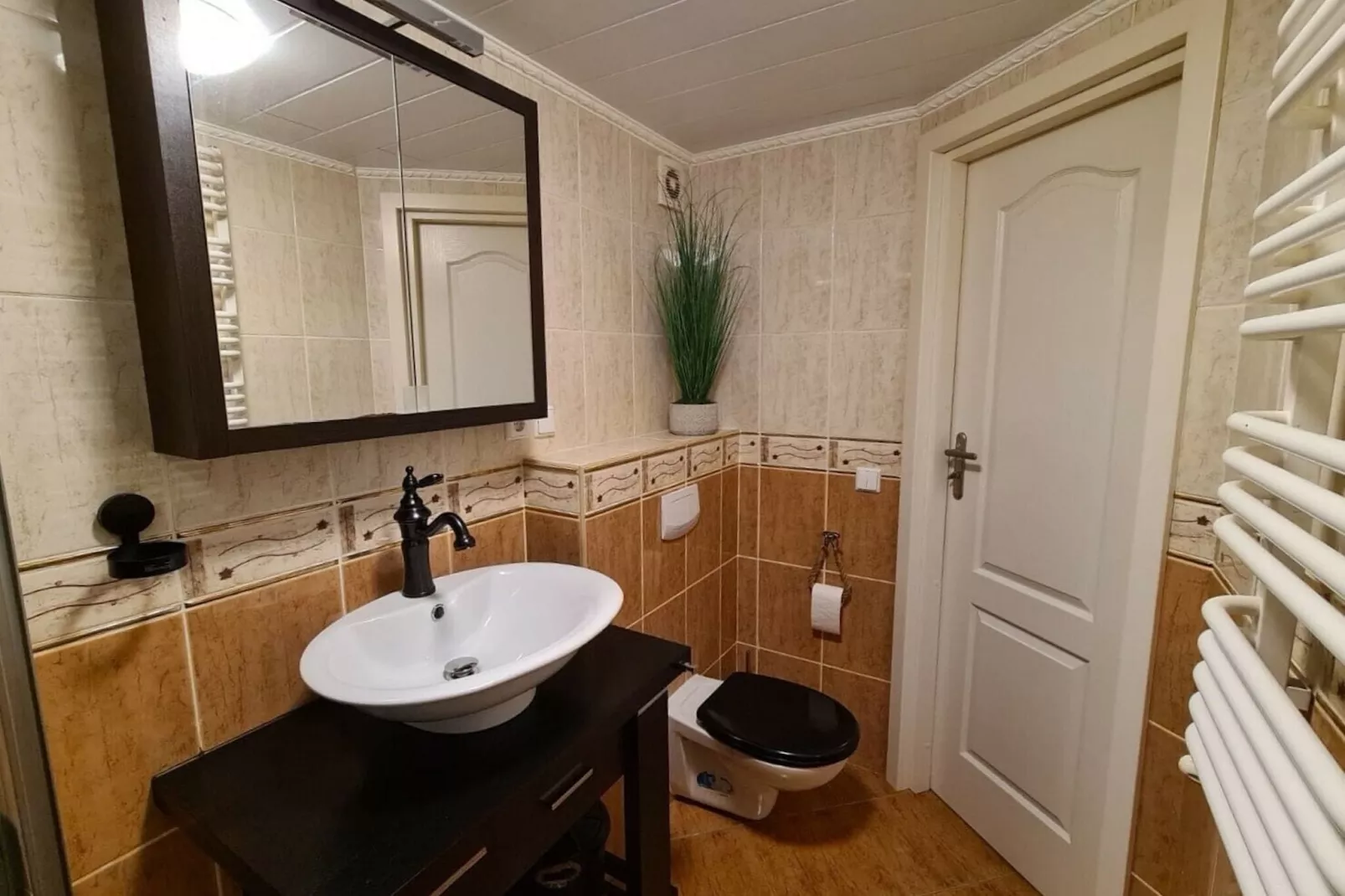 Recreatiepark Rhederlaagse Meren 1-Badkamer