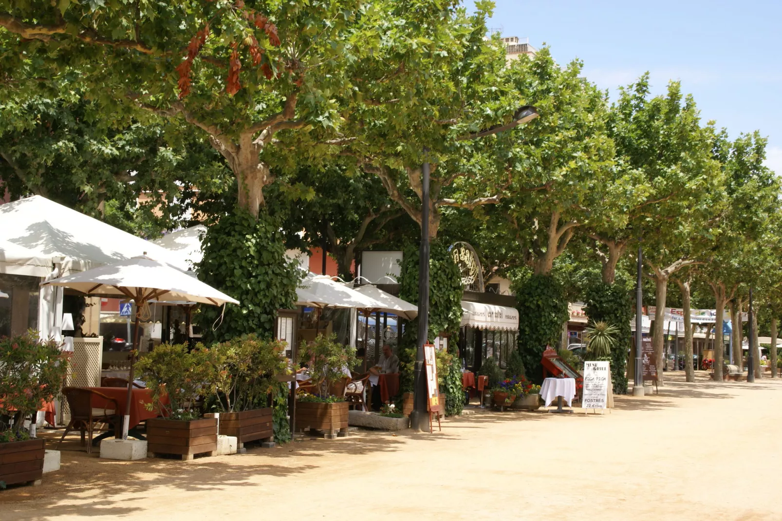 Finca GuiMar-Gebieden zomer 1km