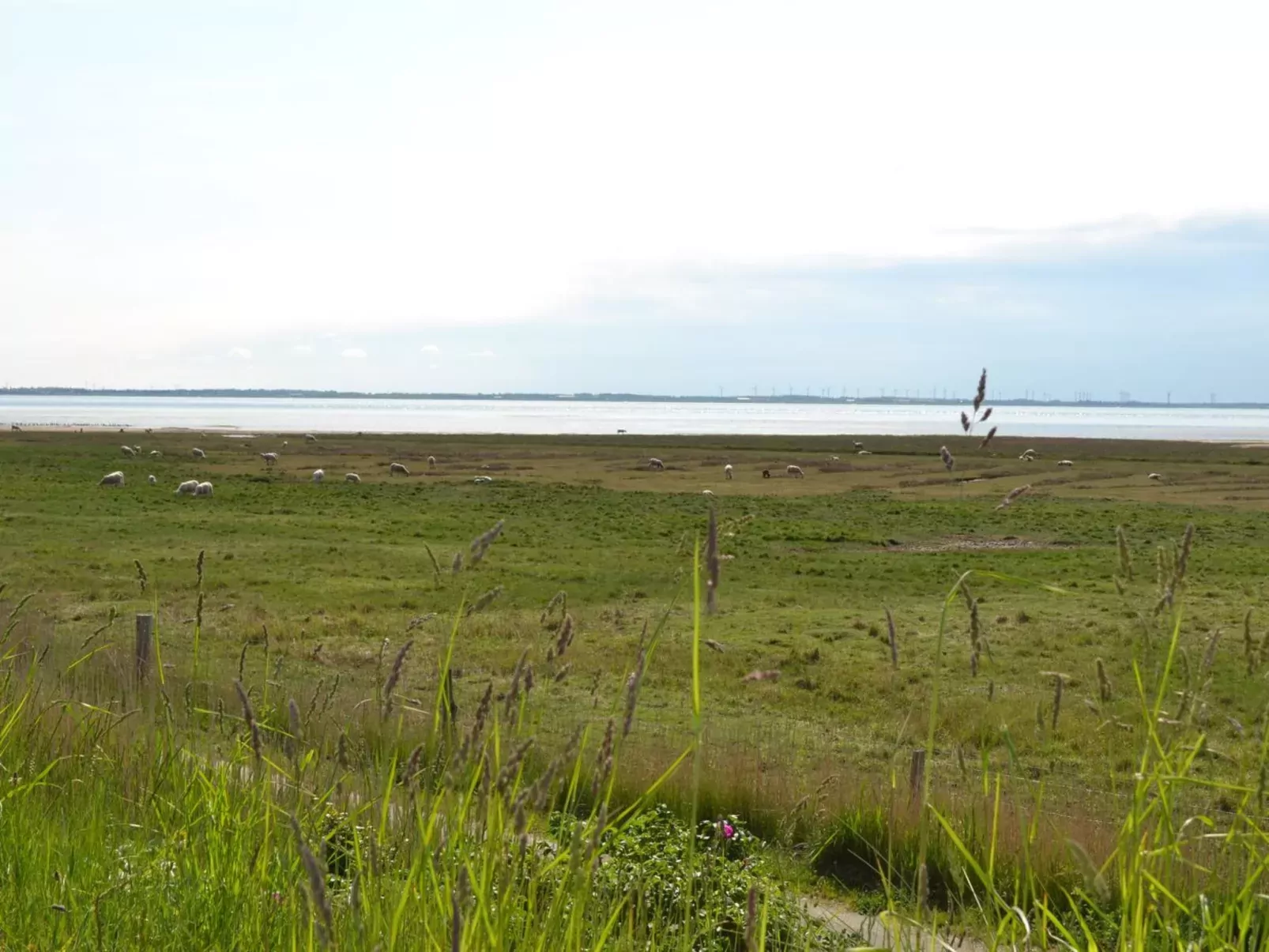"Gertruda" - 2.3km from the sea-Buiten