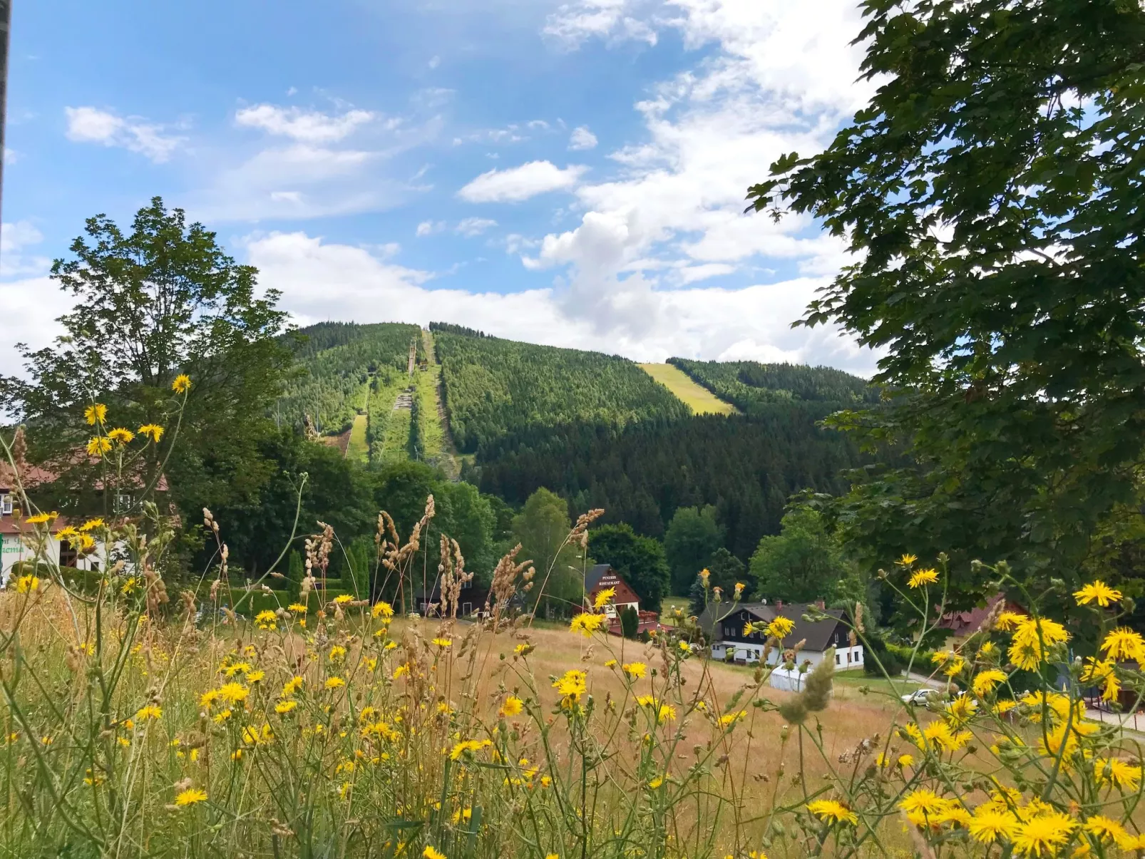 Čertovka U jelena-Buiten
